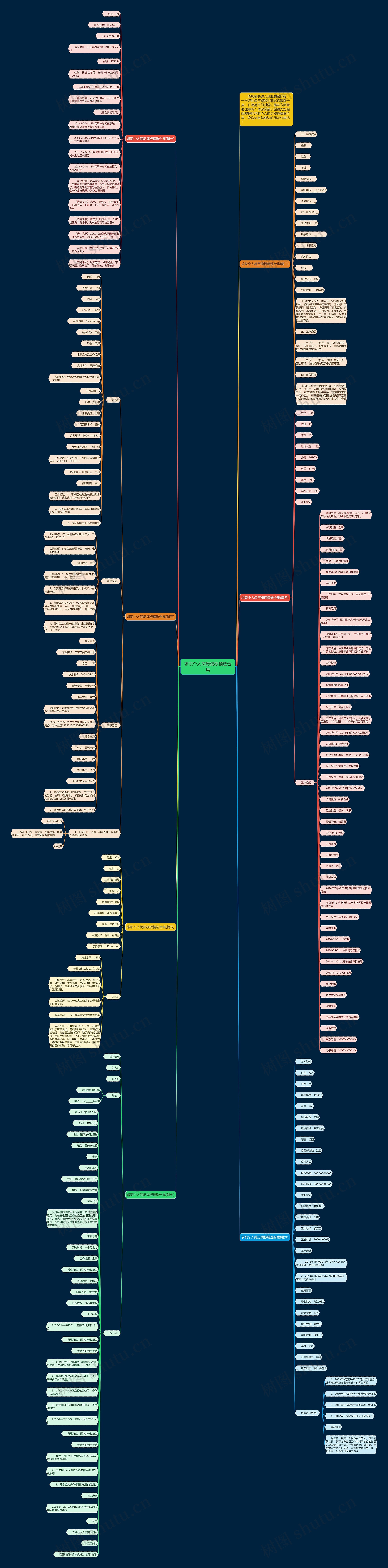 求职个人简历精选合集思维导图
