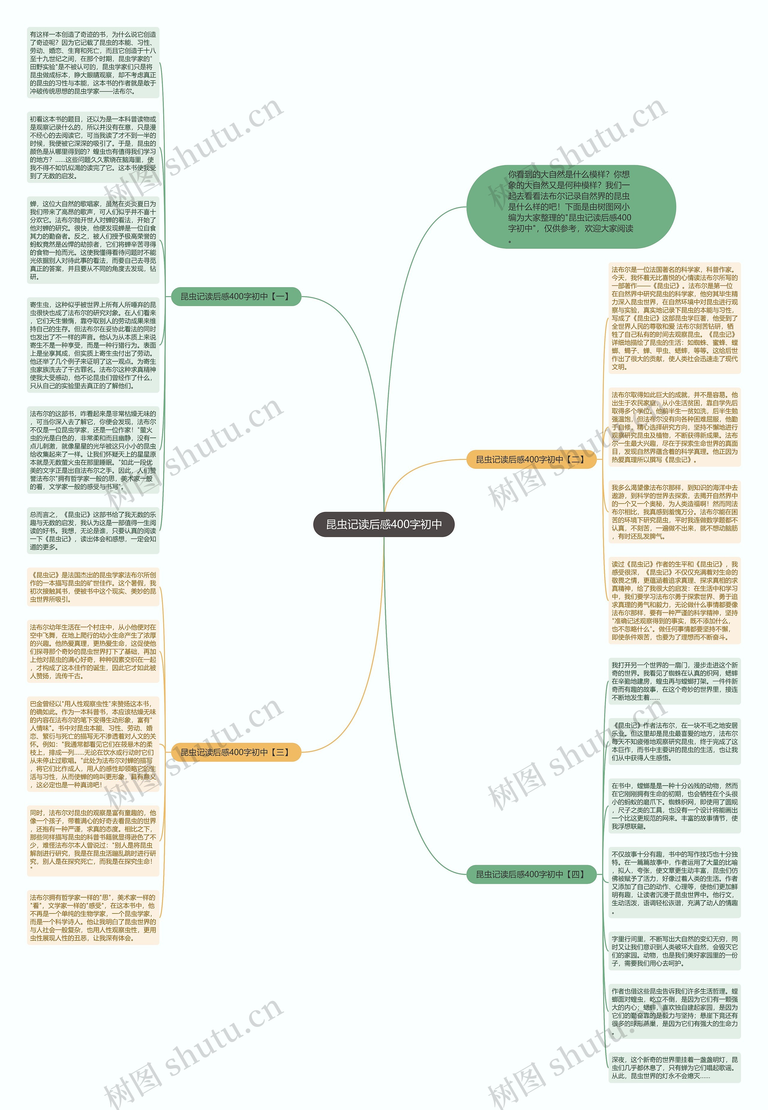 昆虫记读后感400字初中思维导图