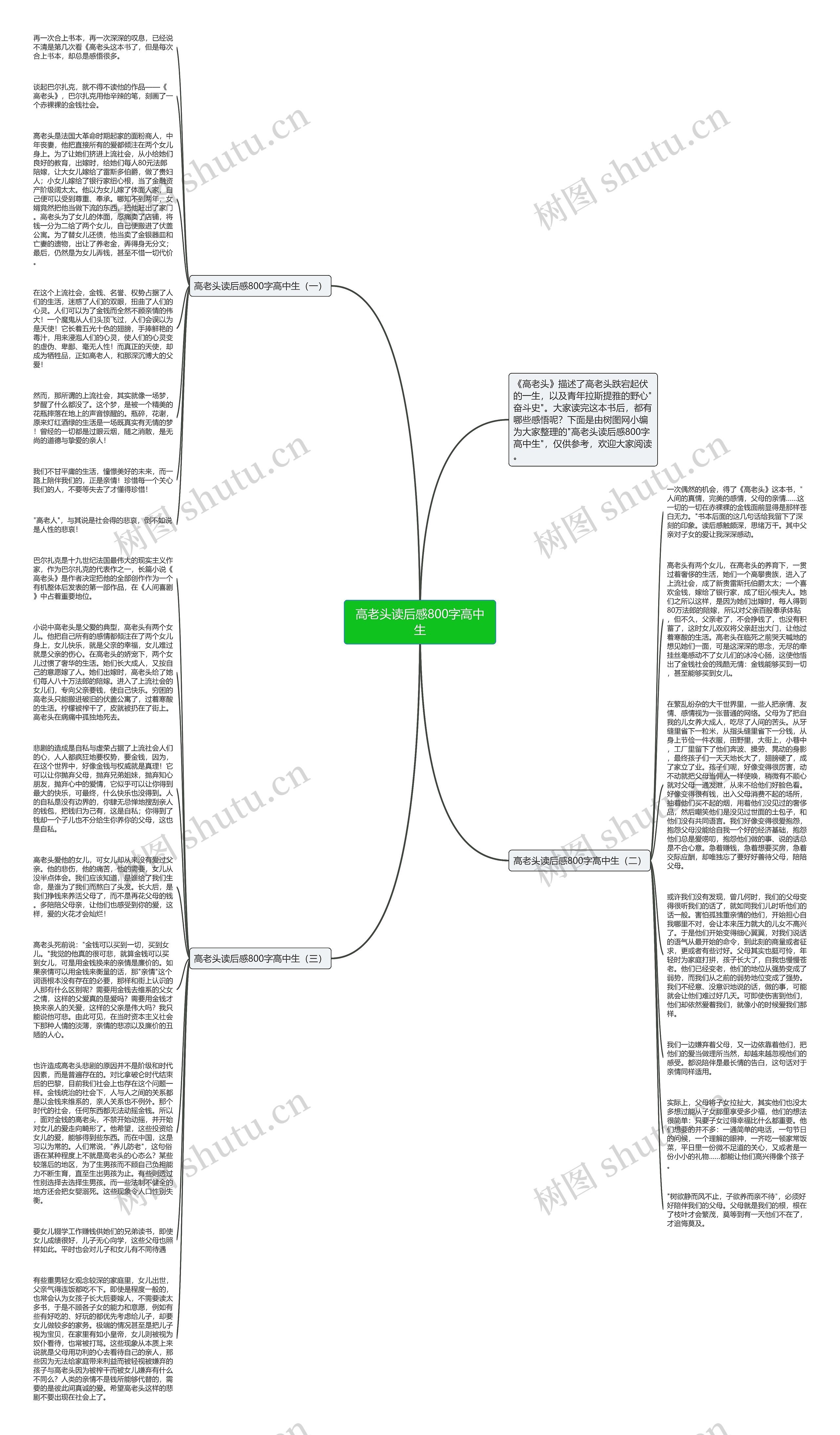 高老头读后感800字高中生思维导图