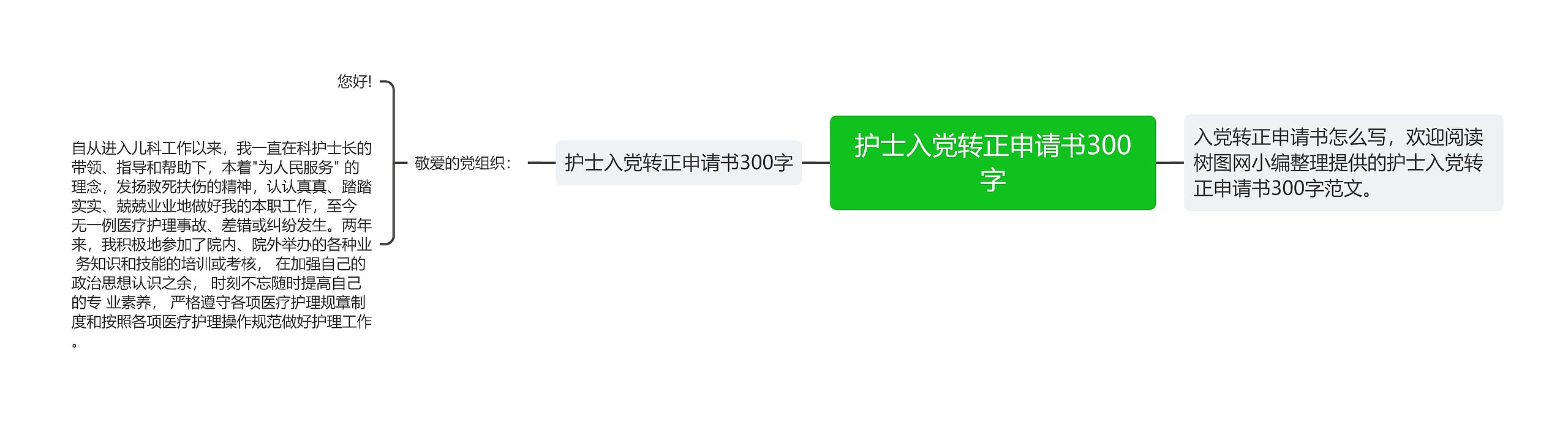 护士入党转正申请书300字思维导图