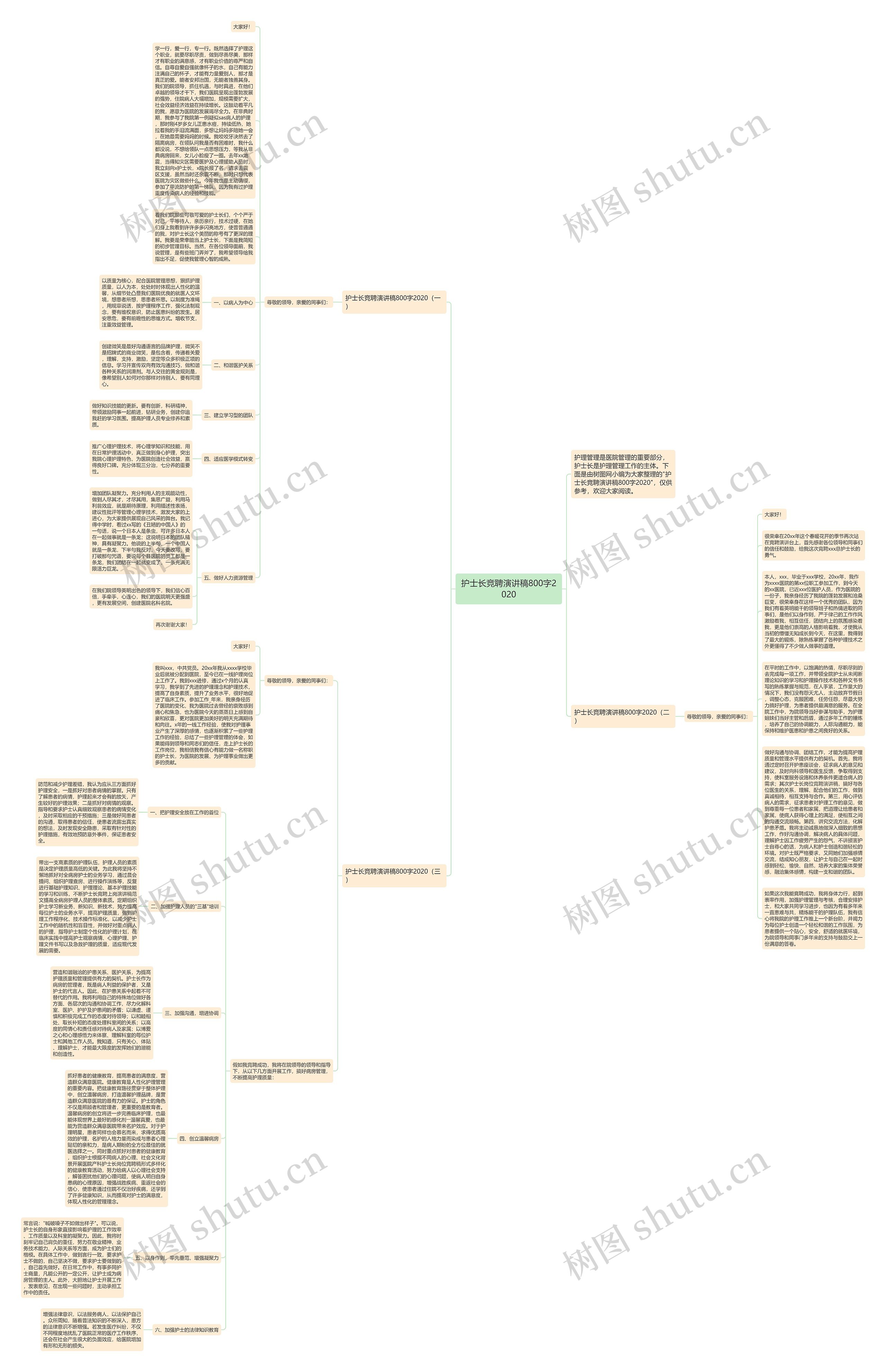 护士长竞聘演讲稿800字2020思维导图
