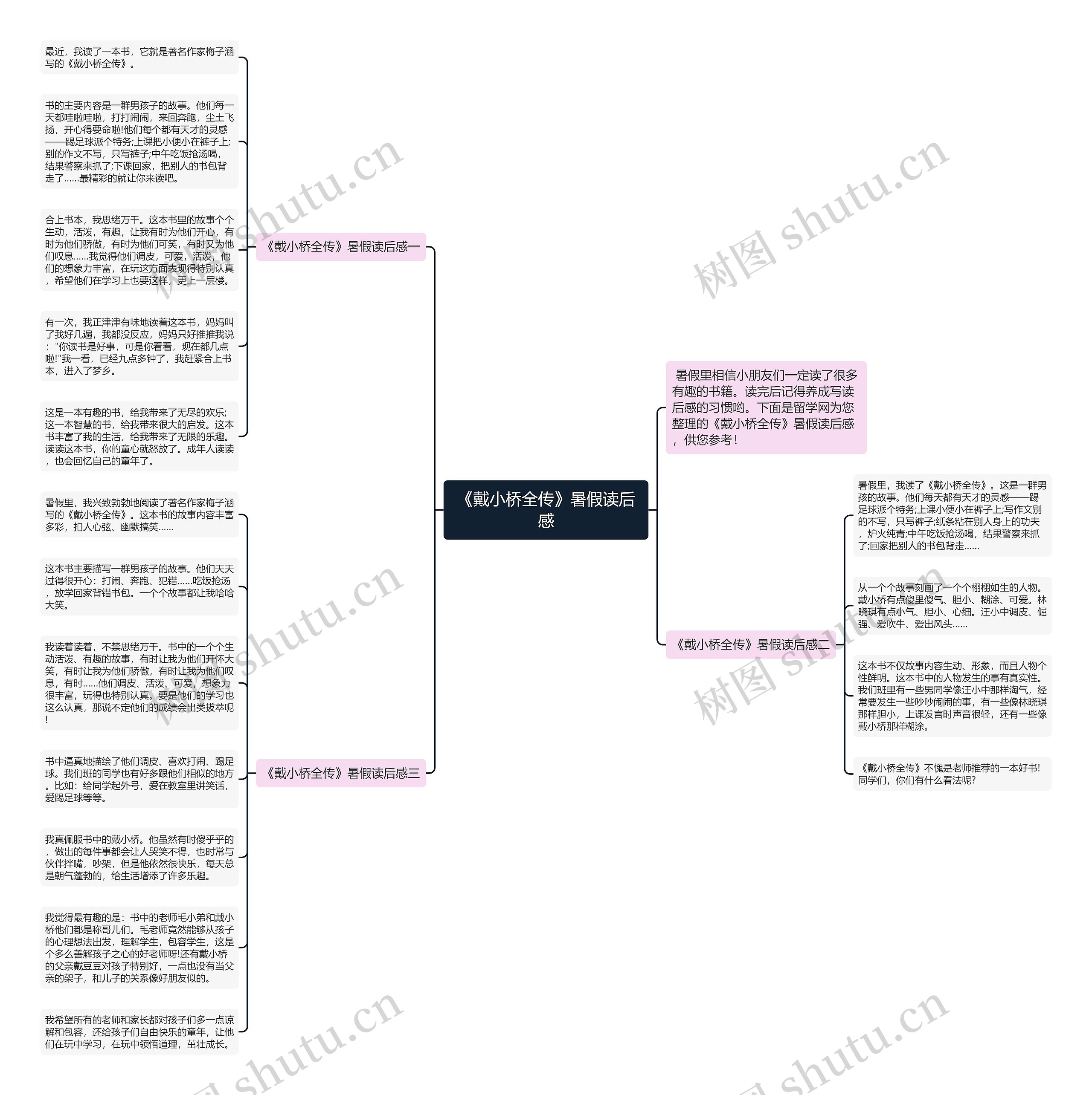 《戴小桥全传》暑假读后感思维导图