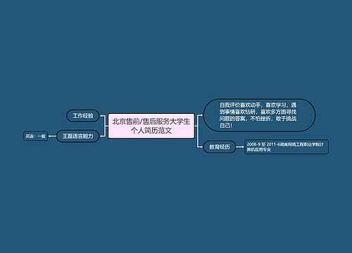 北京售前/售后服务大学生个人简历范文