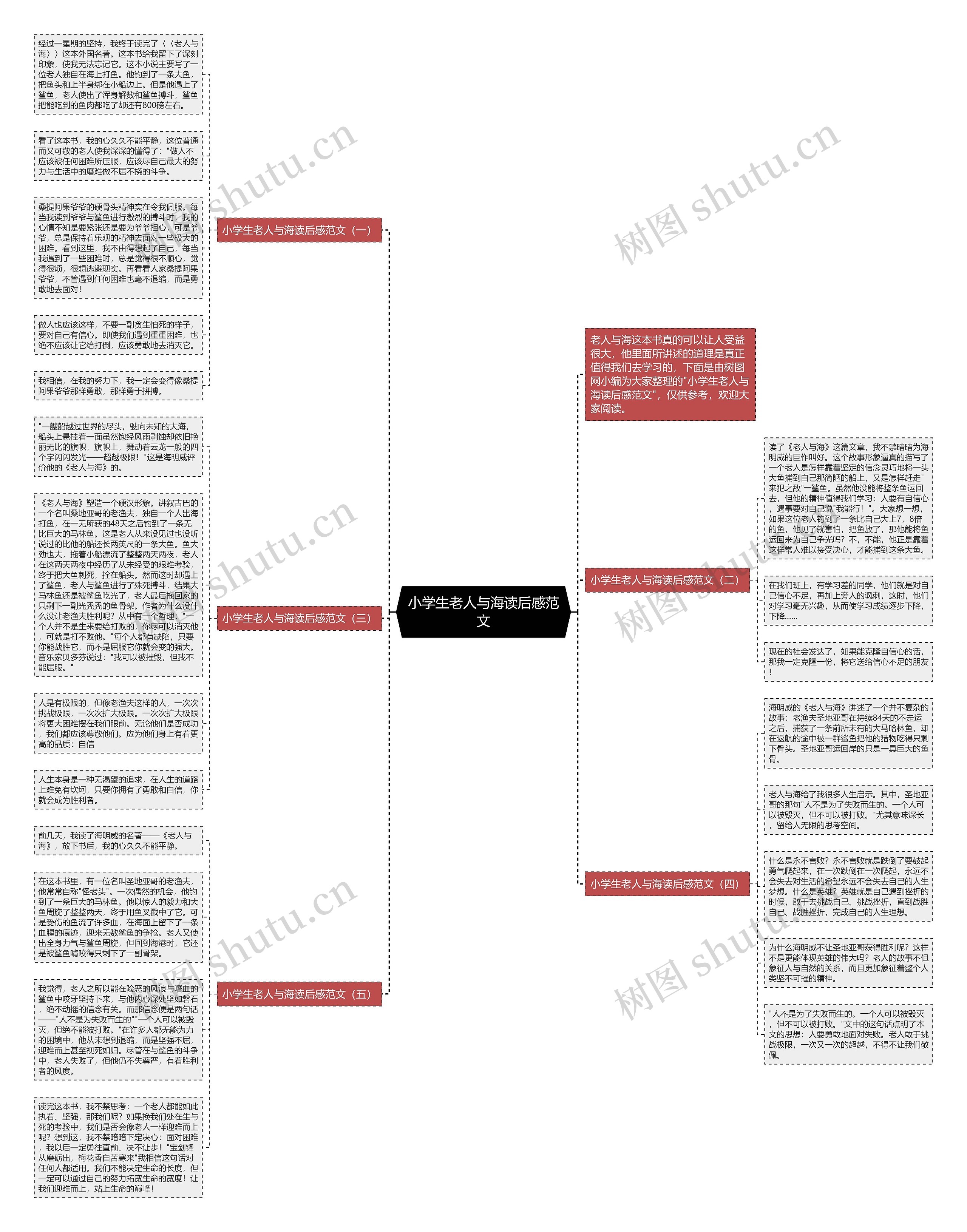 小学生老人与海读后感范文思维导图