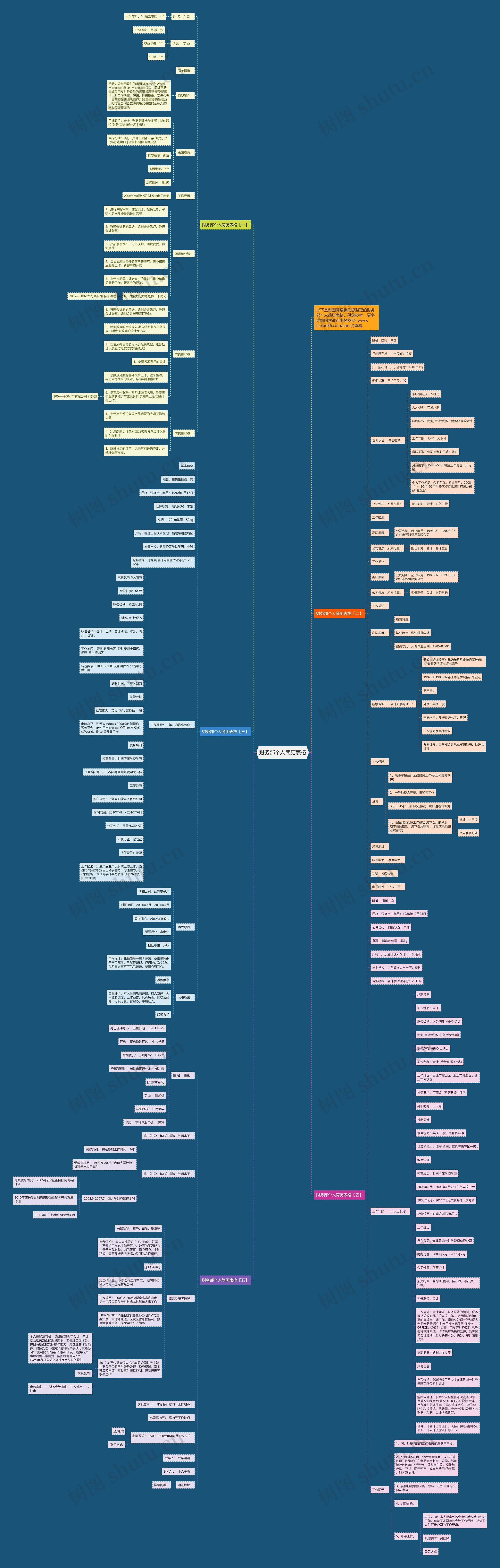 财务部个人简历表格