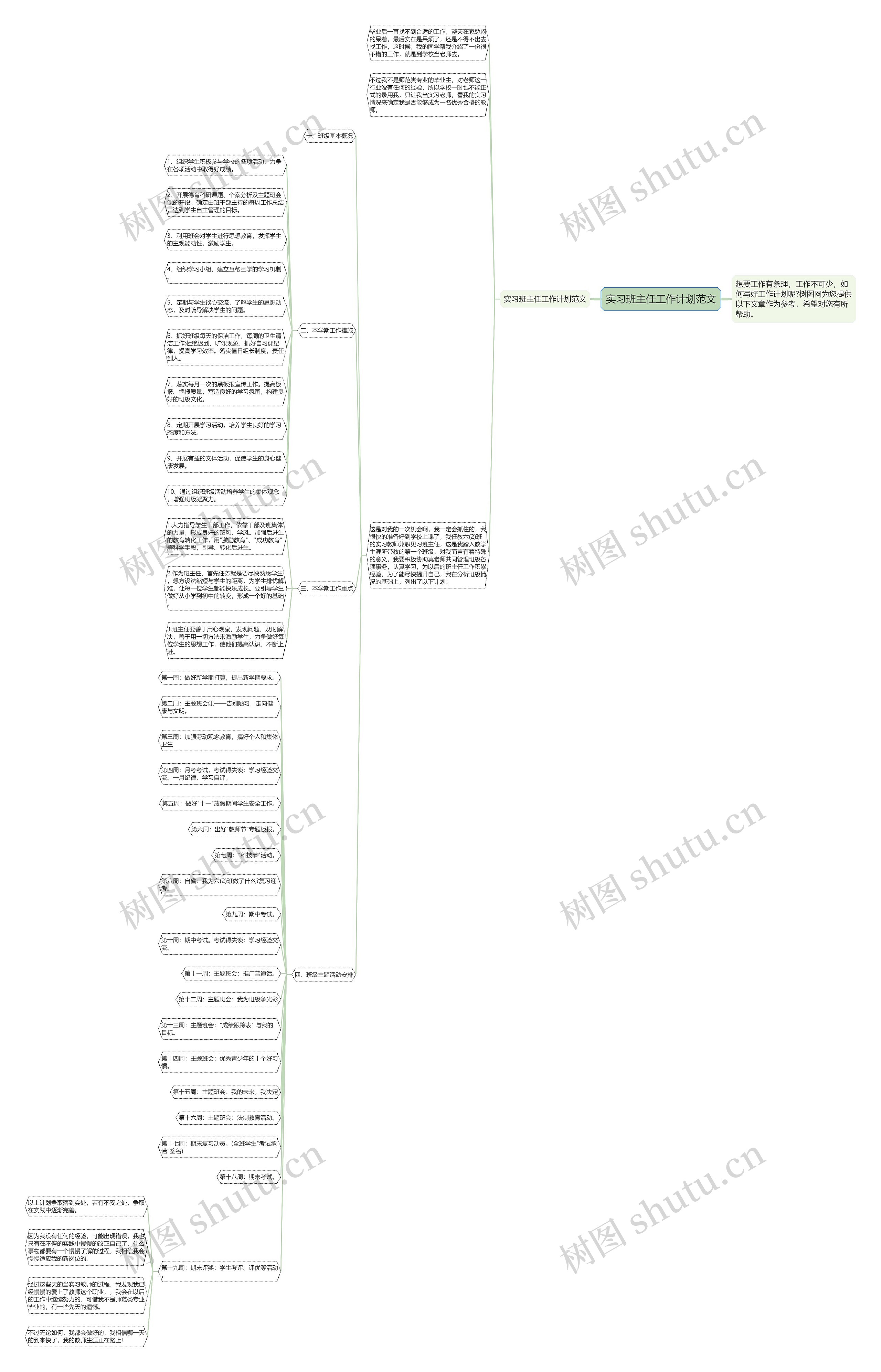 实习班主任工作计划范文