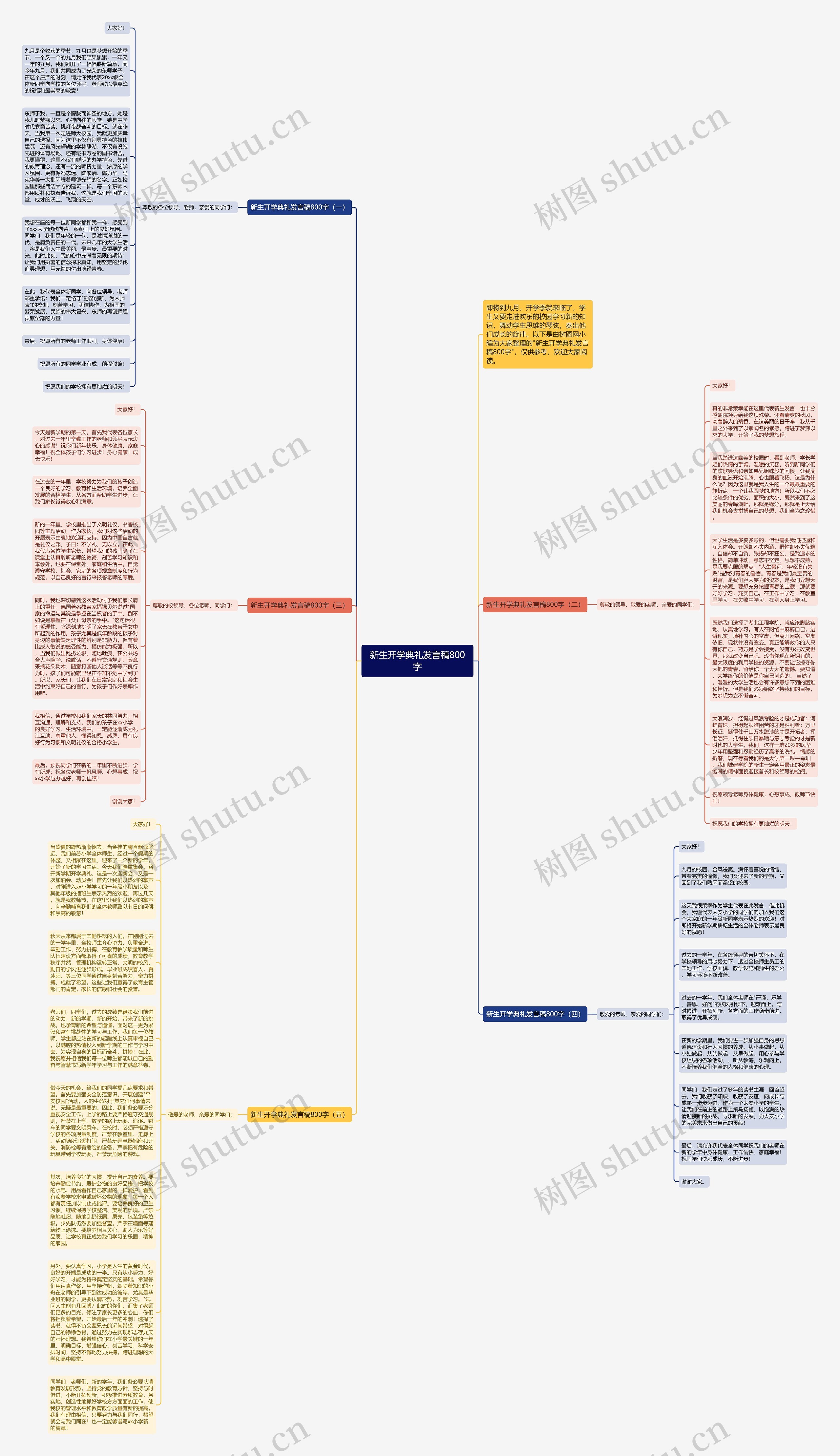 新生开学典礼发言稿800字思维导图