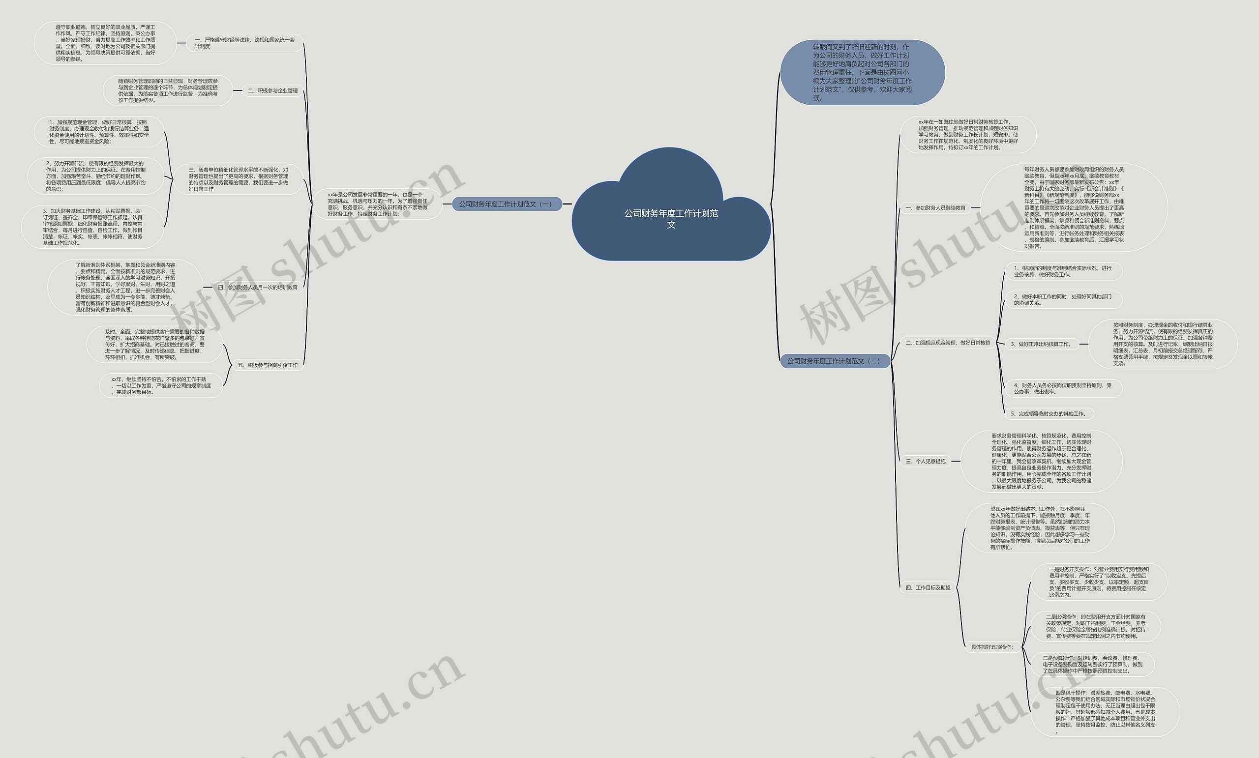 公司财务年度工作计划范文思维导图