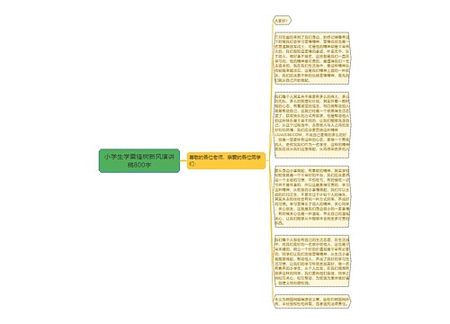 小学生学雷锋树新风演讲稿800字