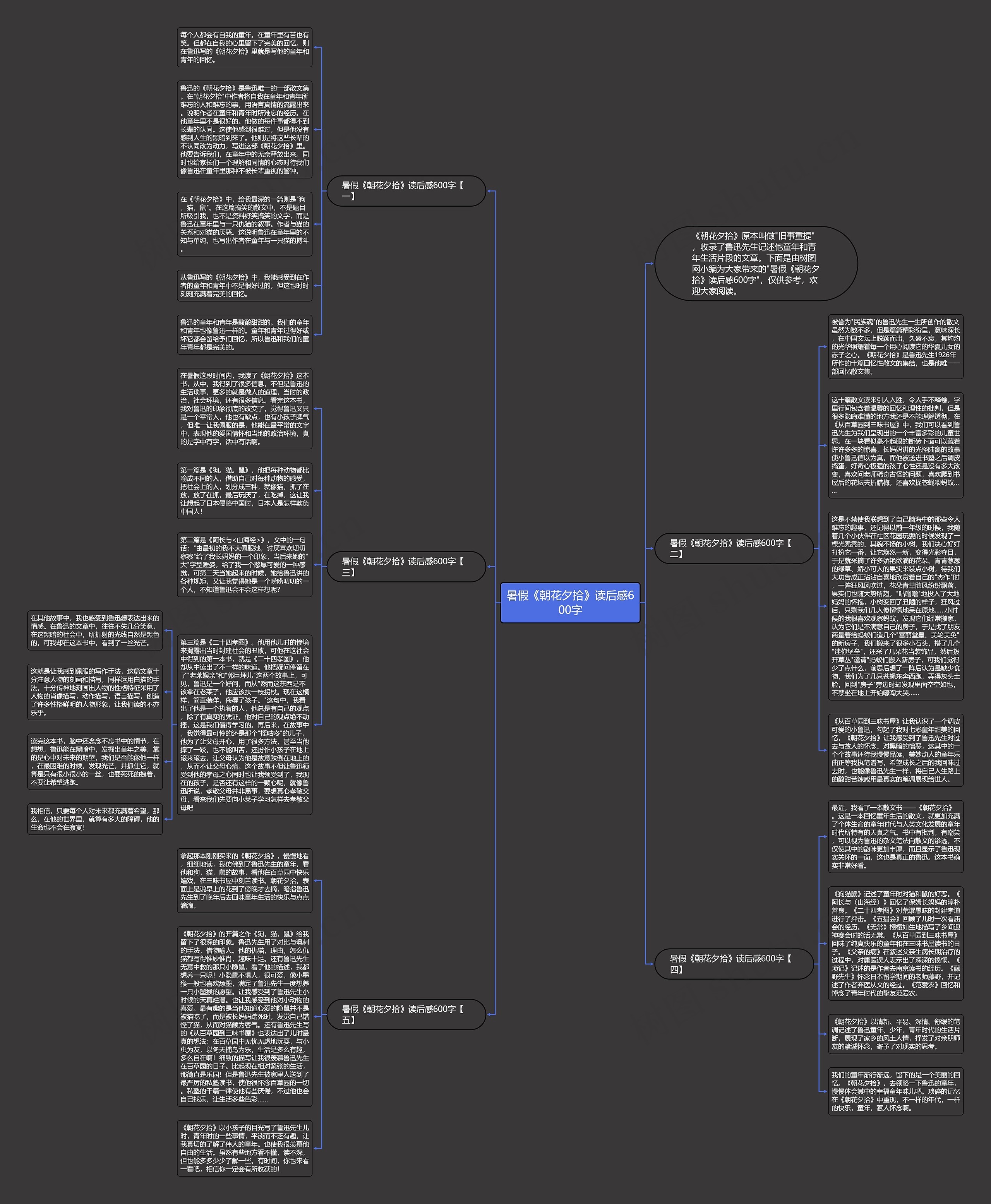 暑假《朝花夕拾》读后感600字思维导图