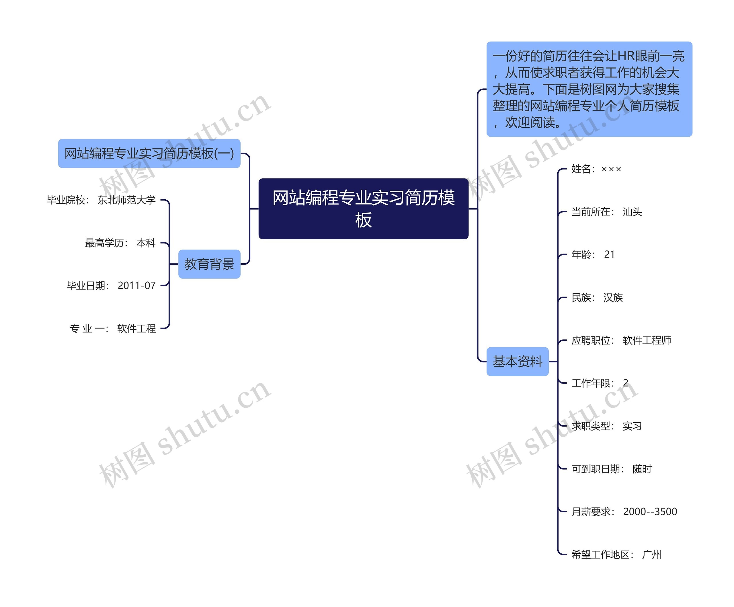 网站编程专业实习简历模板