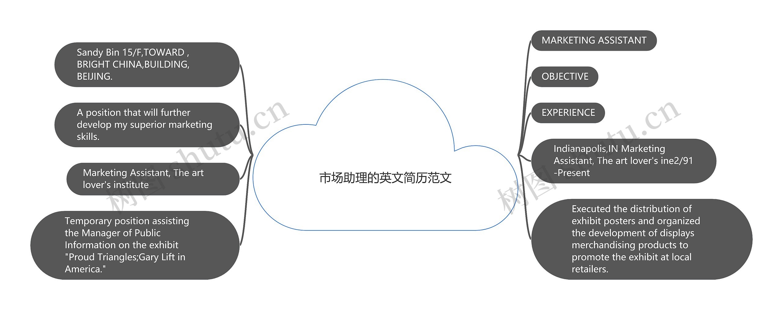 市场助理的英文简历范文思维导图