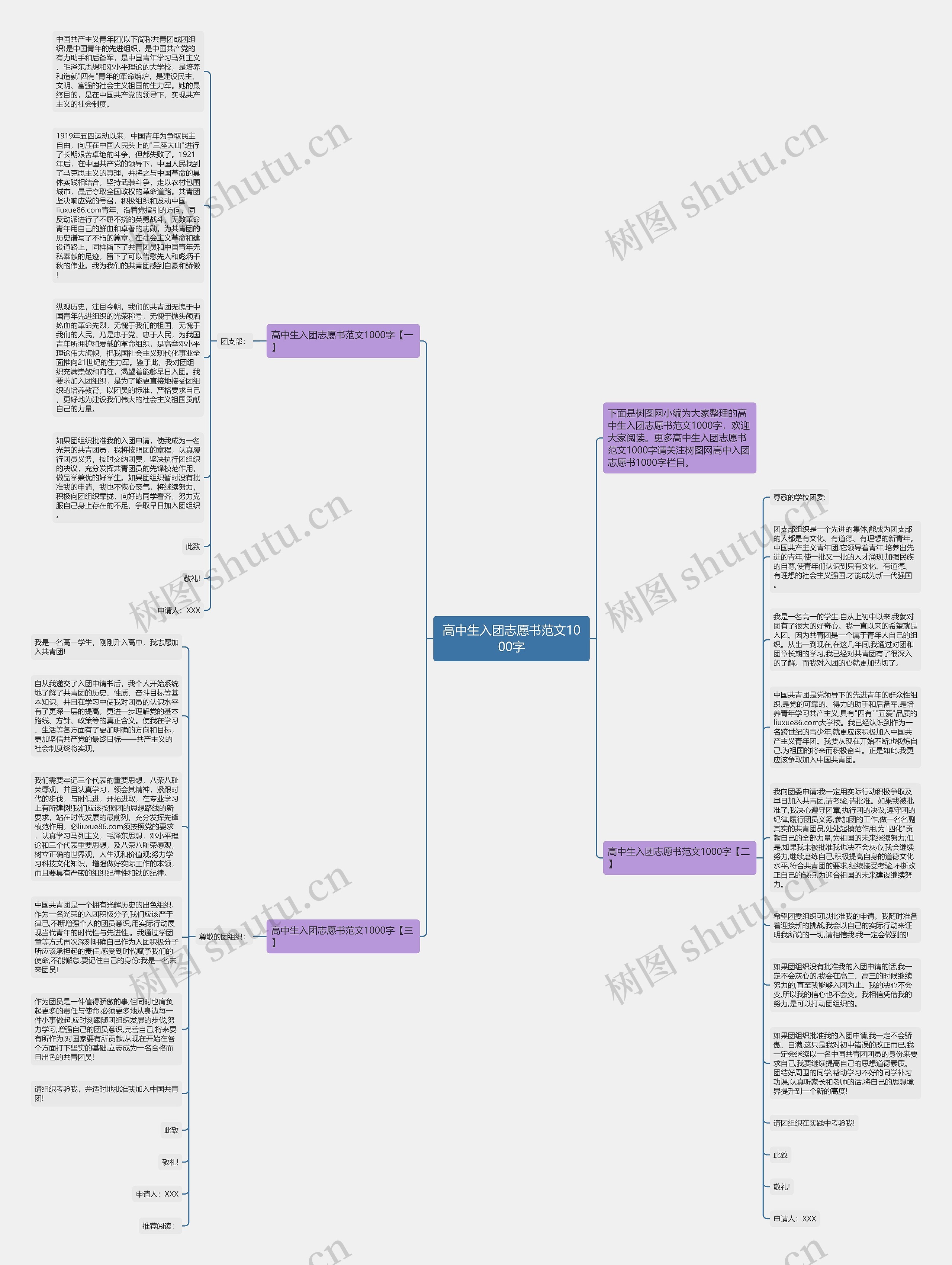 高中生入团志愿书范文1000字思维导图