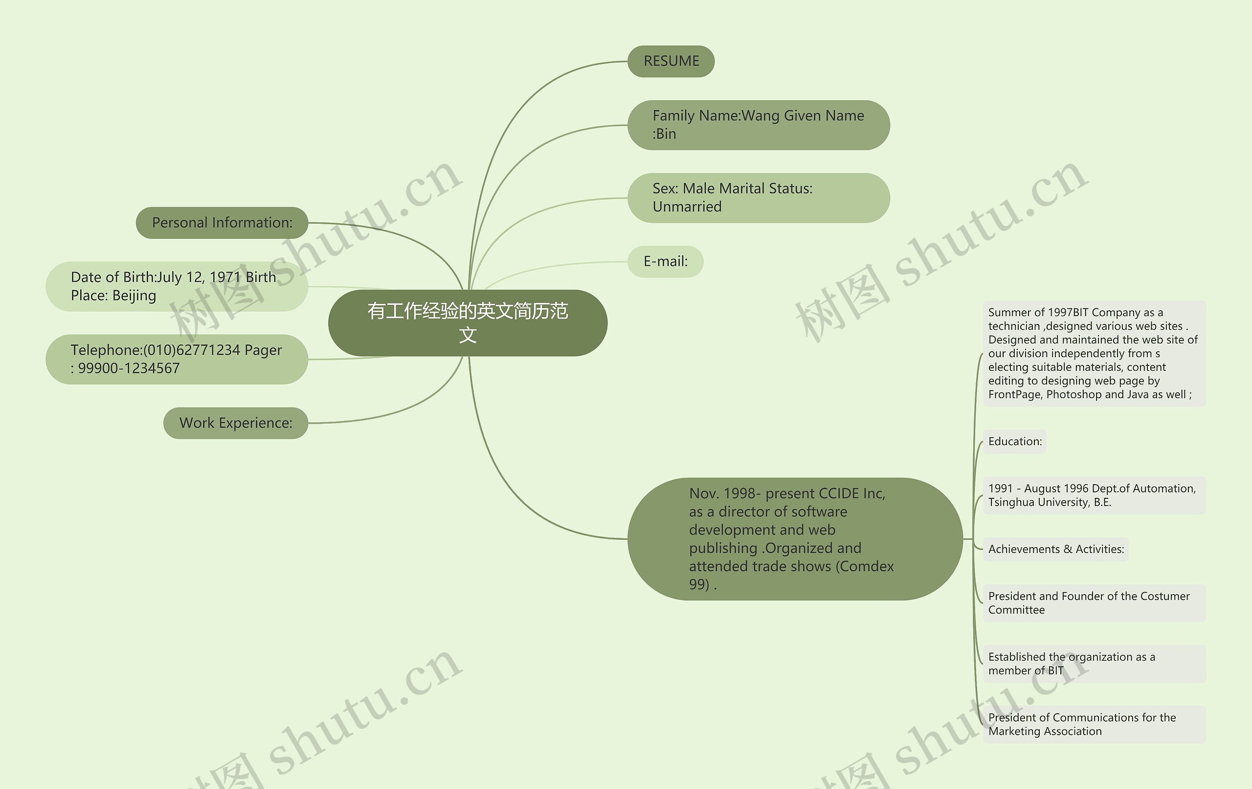 有工作经验的英文简历范文思维导图