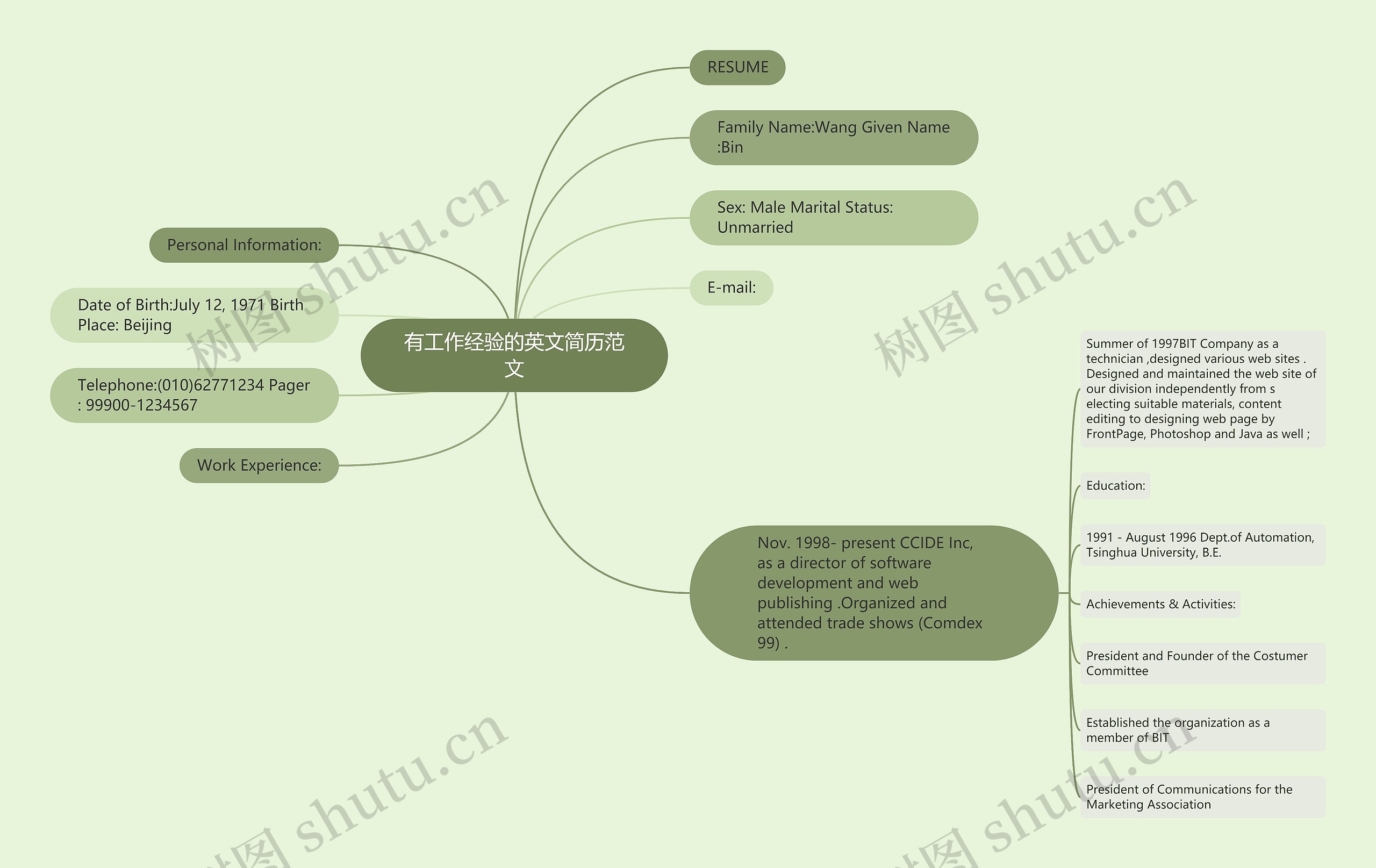 有工作经验的英文简历范文思维导图高清图 有工作经验的英文简历范文思维导图