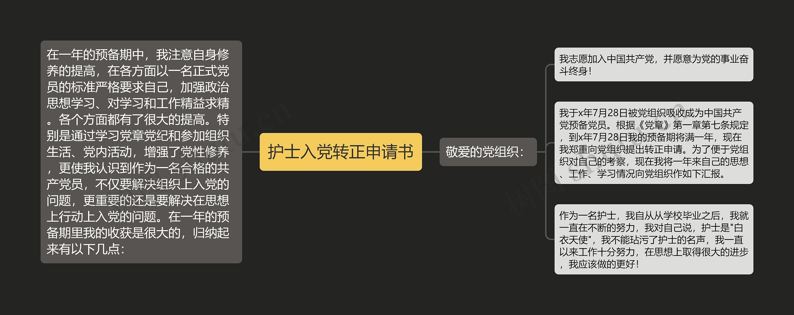 护士入党转正申请书