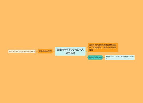 西安商务司机大学生个人简历范文