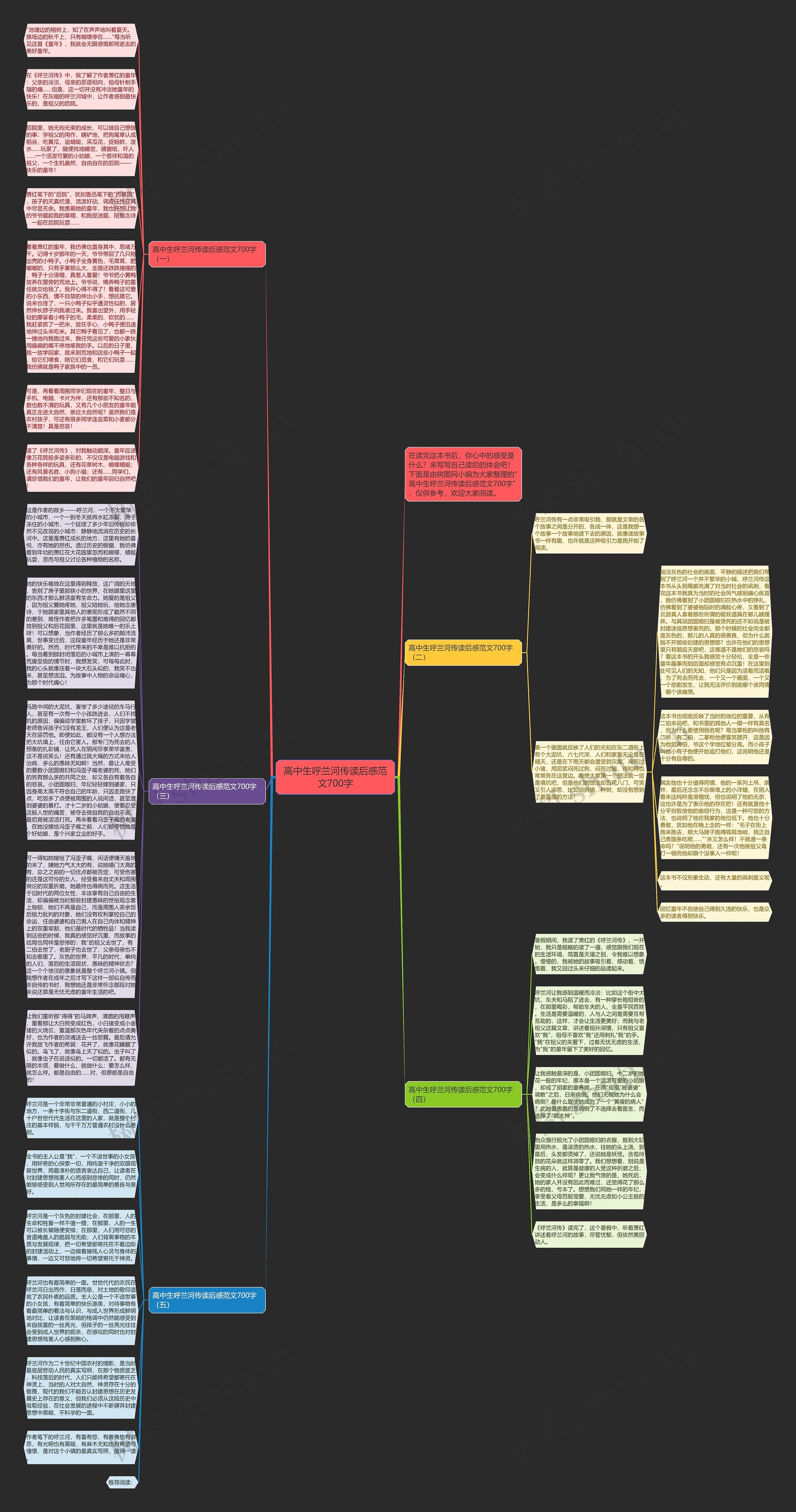 高中生呼兰河传读后感范文700字思维导图