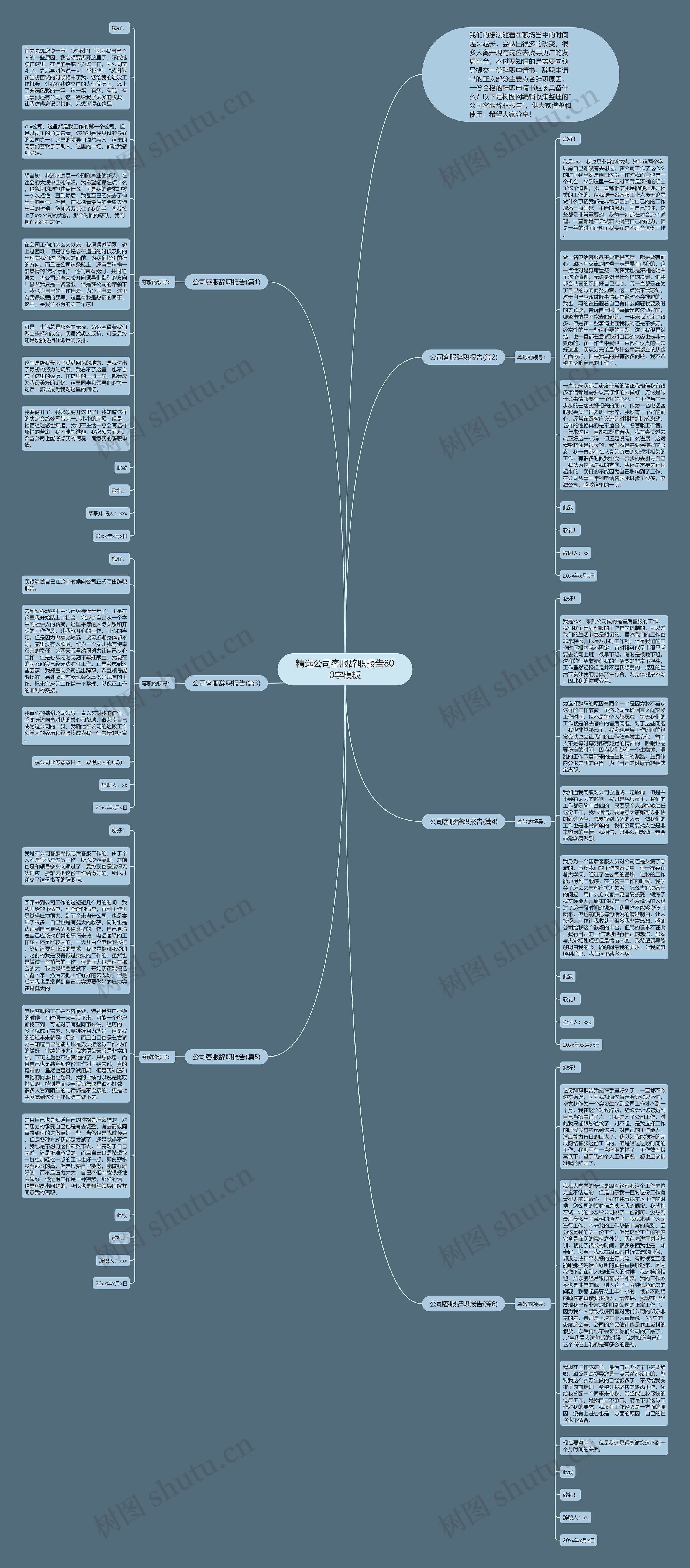 精选公司客服辞职报告800字思维导图