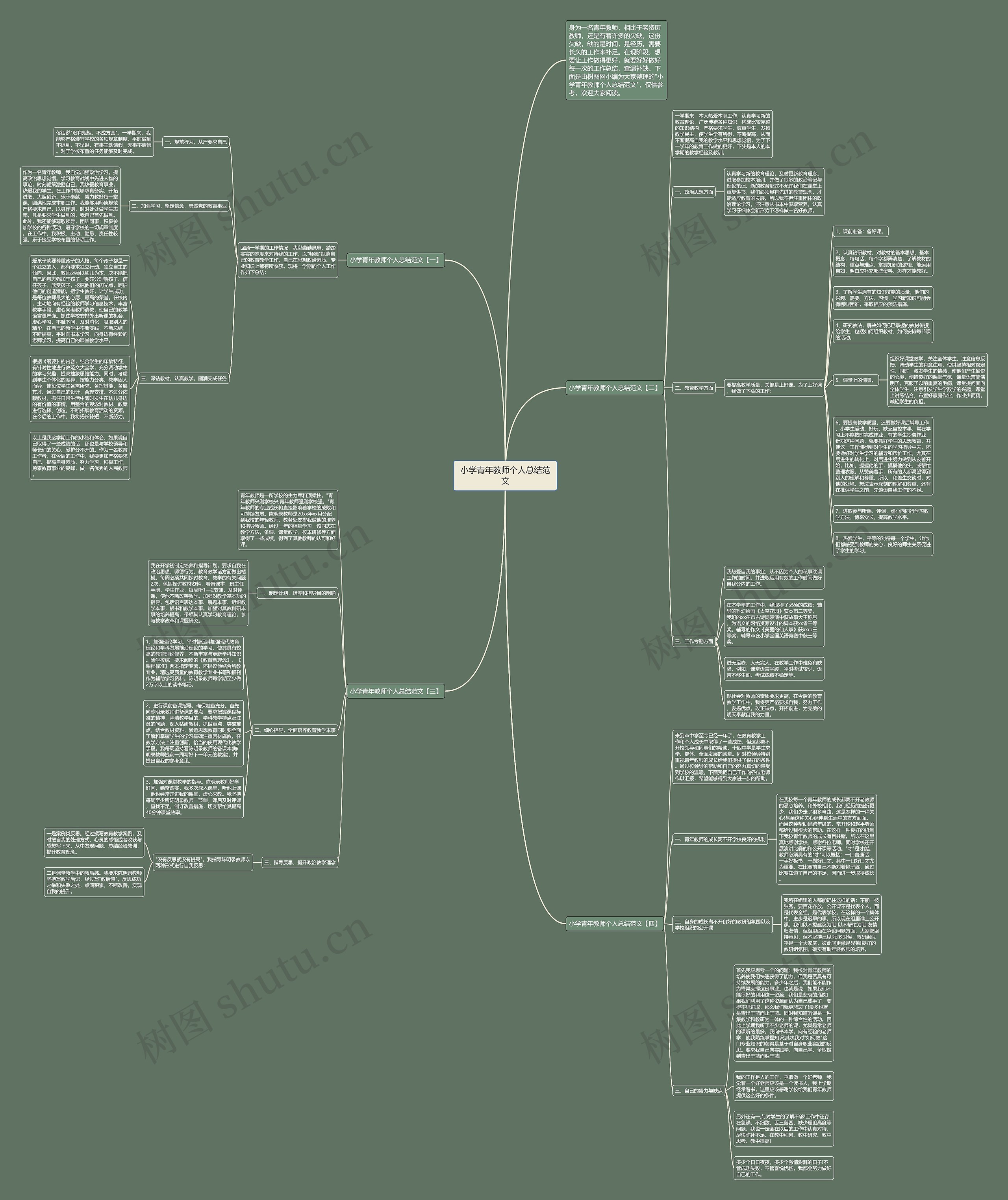 小学青年教师个人总结范文思维导图