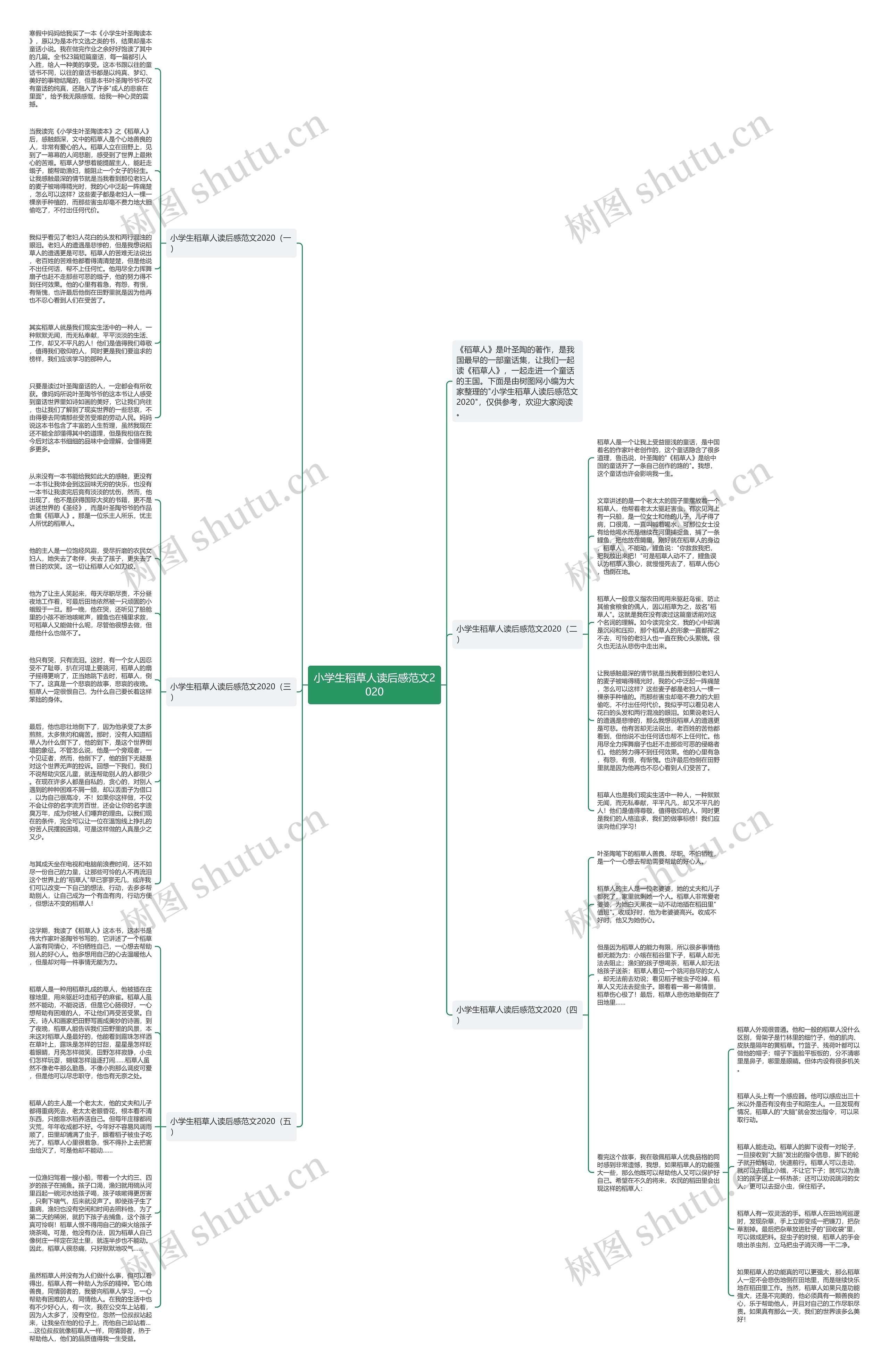 小学生稻草人读后感范文2020思维导图