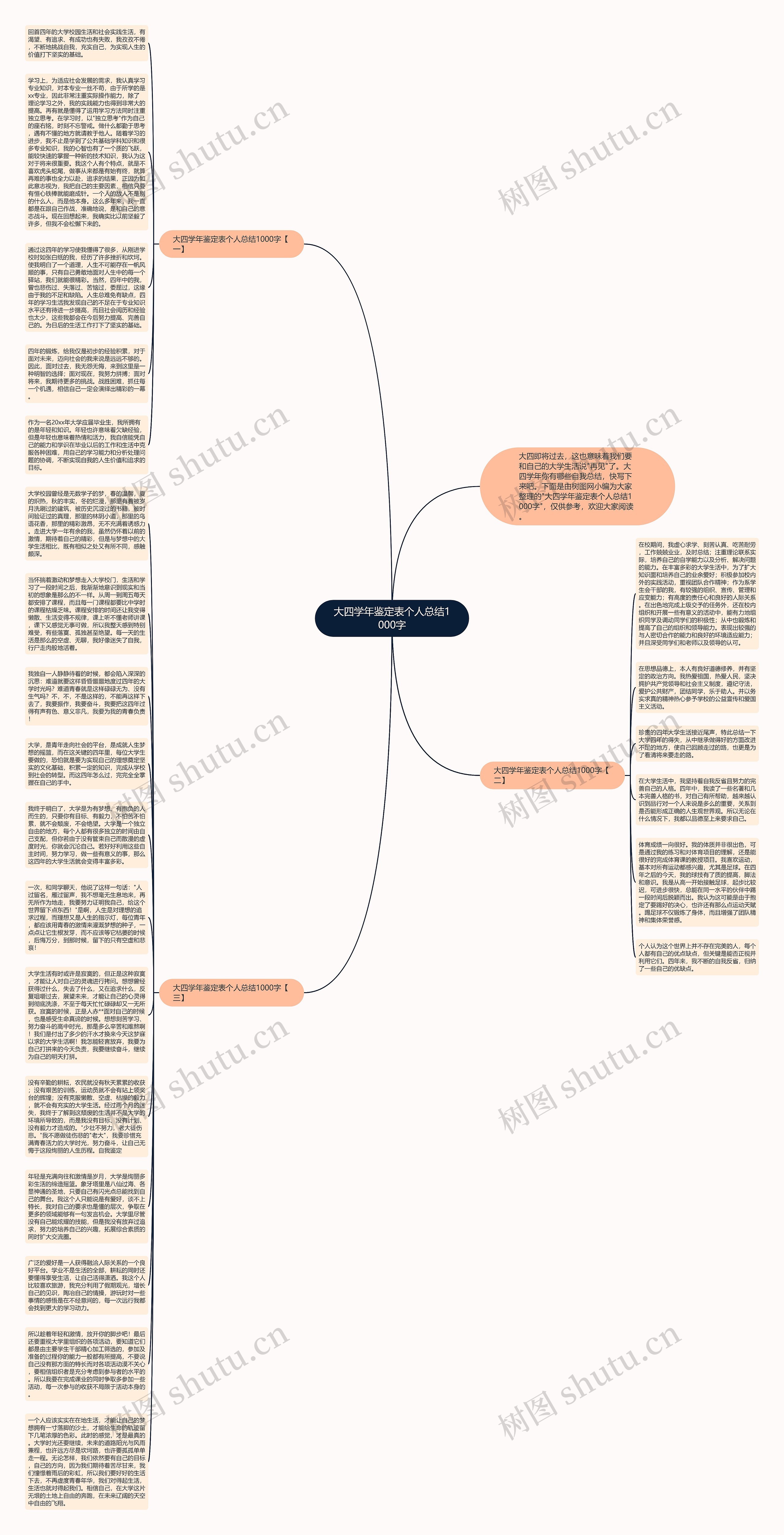 大四学年鉴定表个人总结1000字思维导图