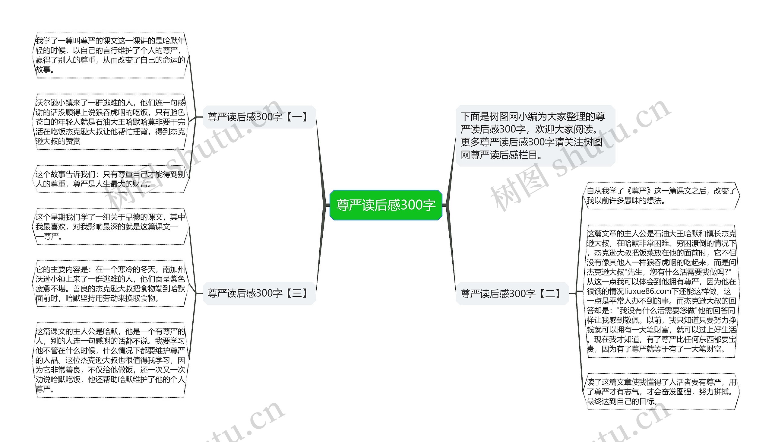 尊严读后感300字