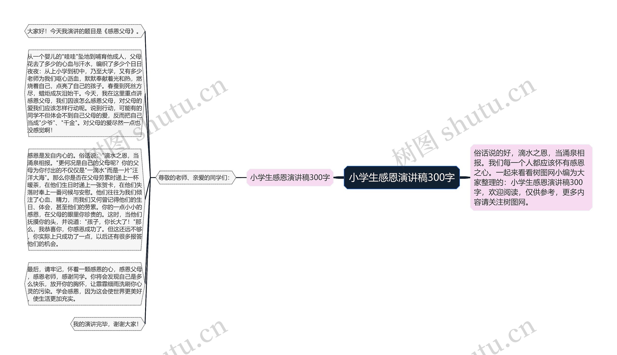 小学生感恩演讲稿300字思维导图