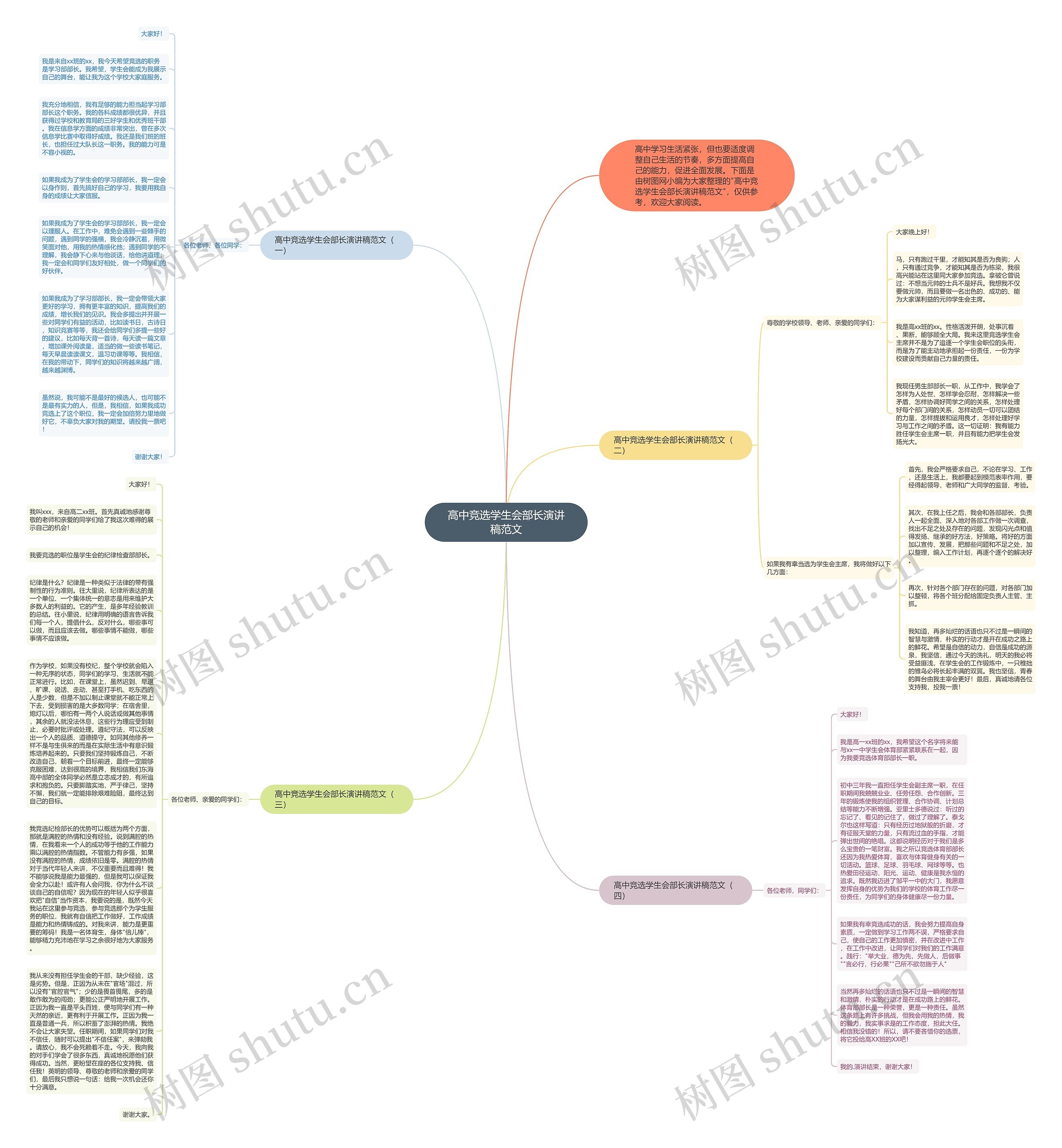 高中竞选学生会部长演讲稿范文思维导图