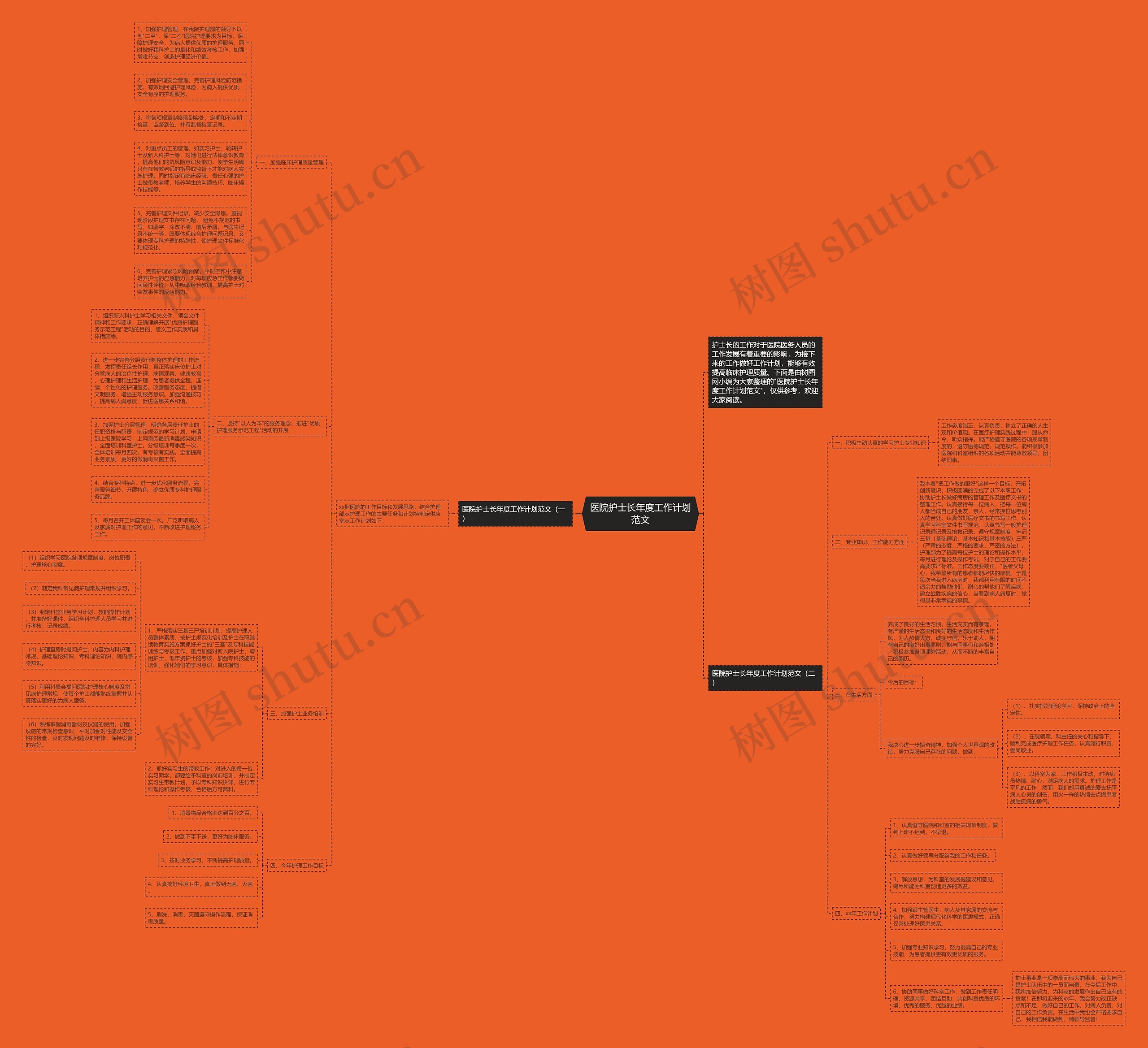医院护士长年度工作计划范文思维导图