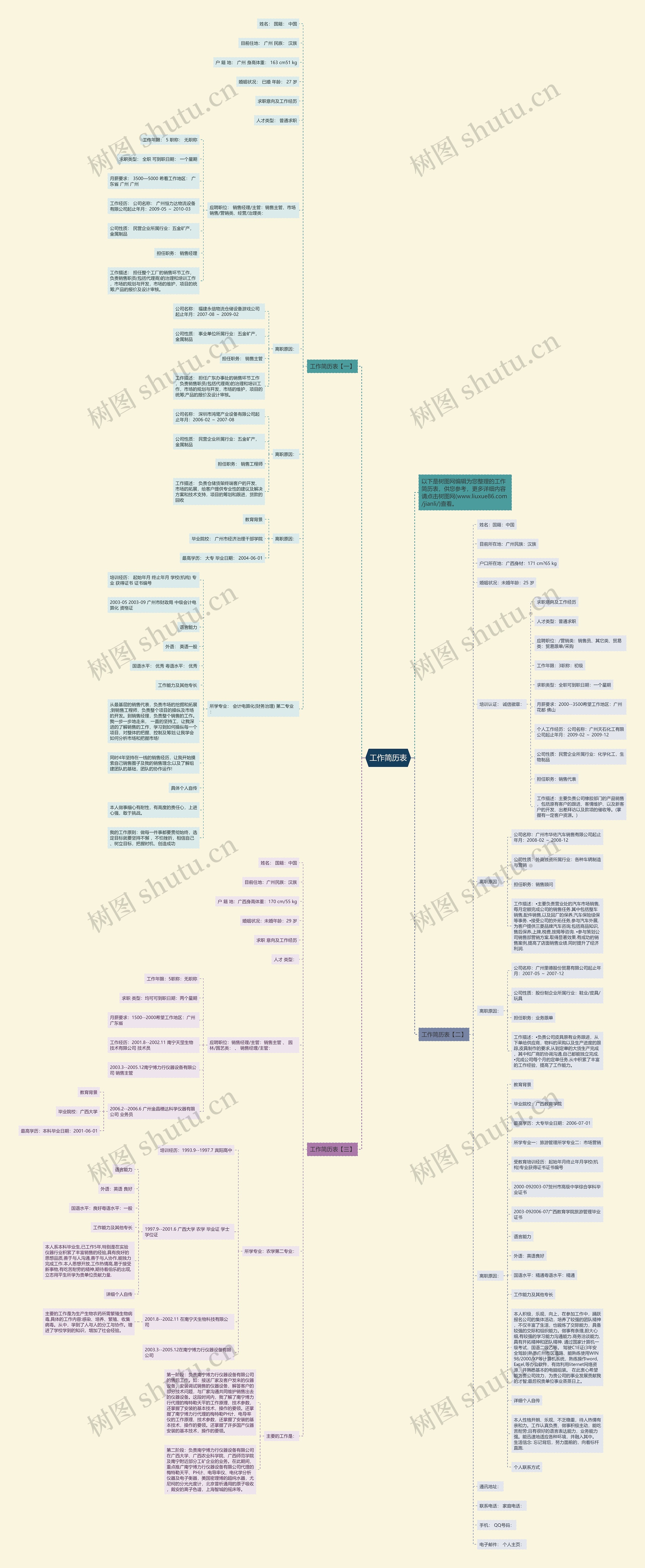 工作简历表思维导图