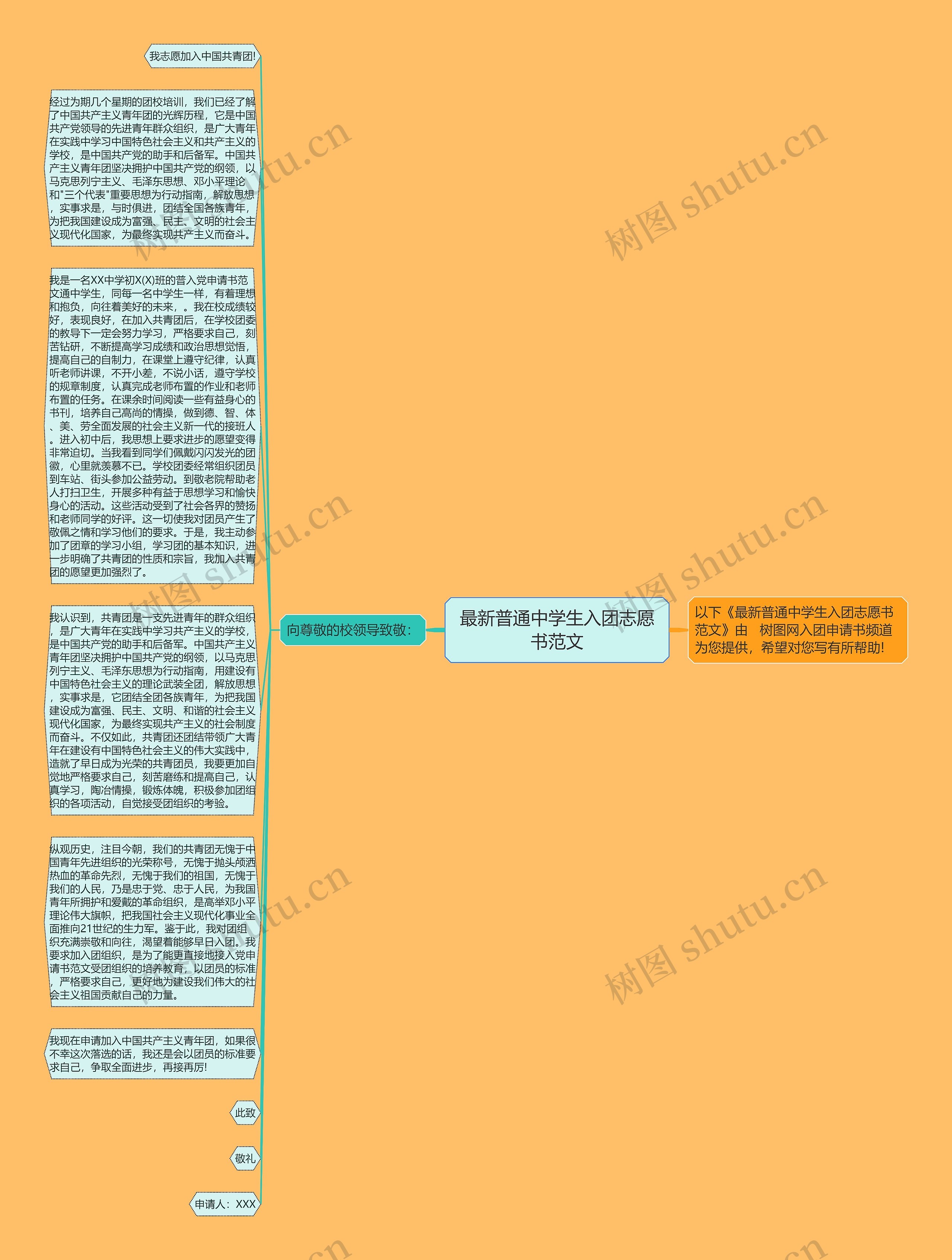 最新普通中学生入团志愿书范文