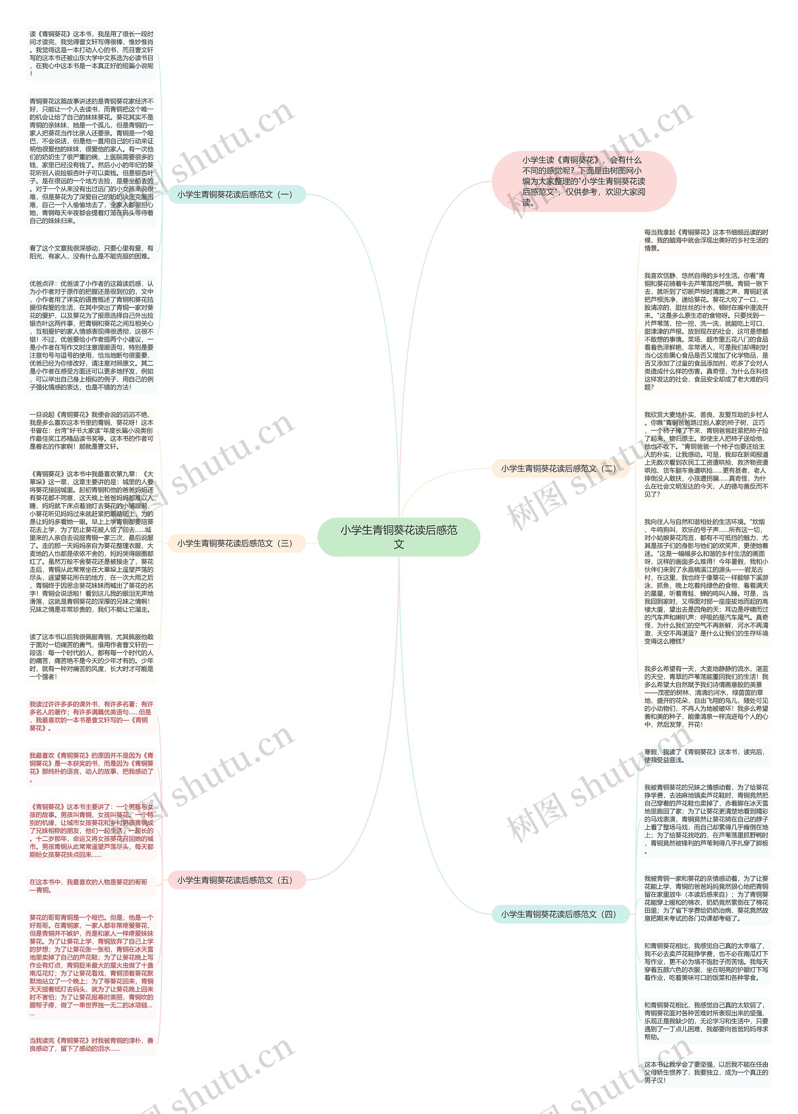 小学生青铜葵花读后感范文思维导图