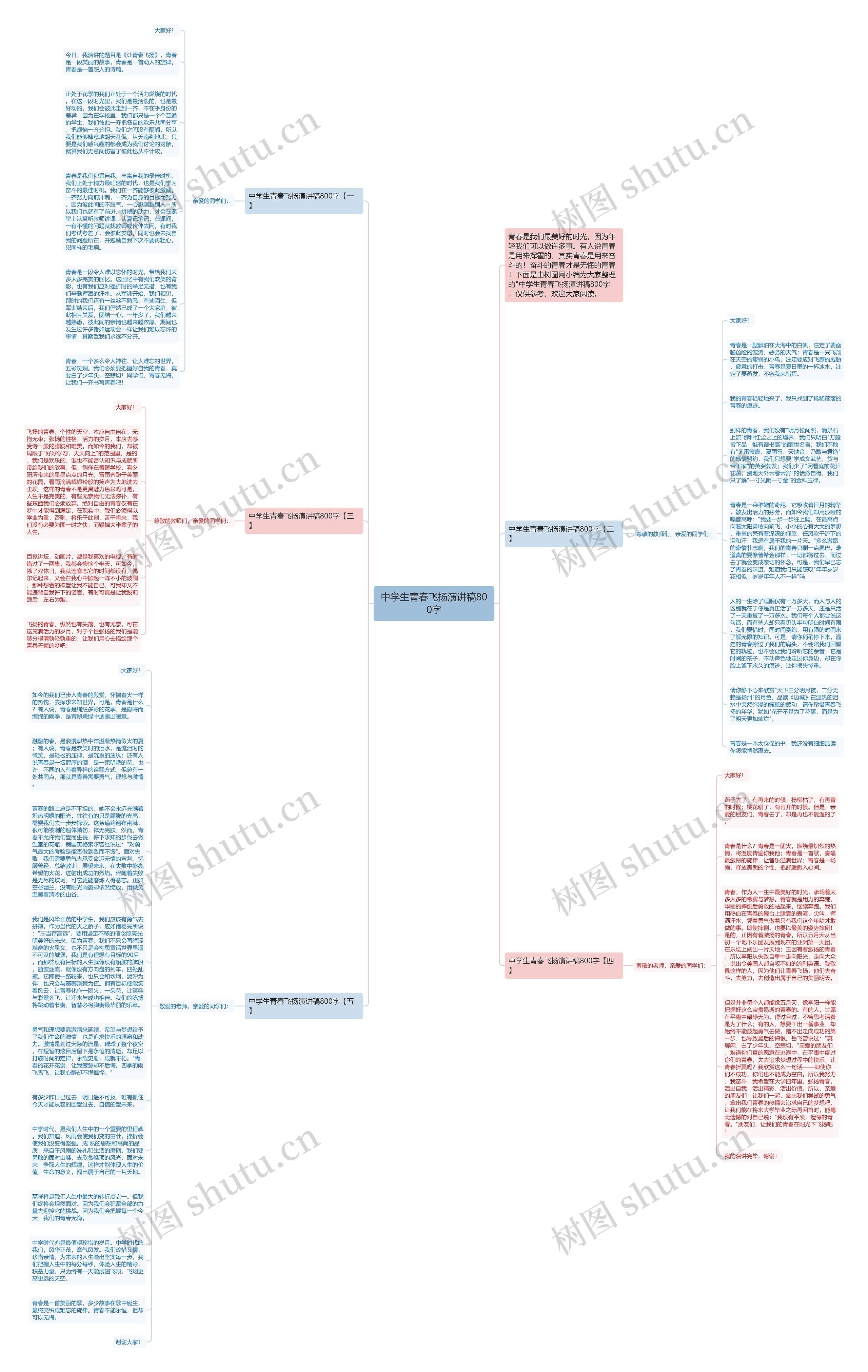 中学生青春飞扬演讲稿800字思维导图