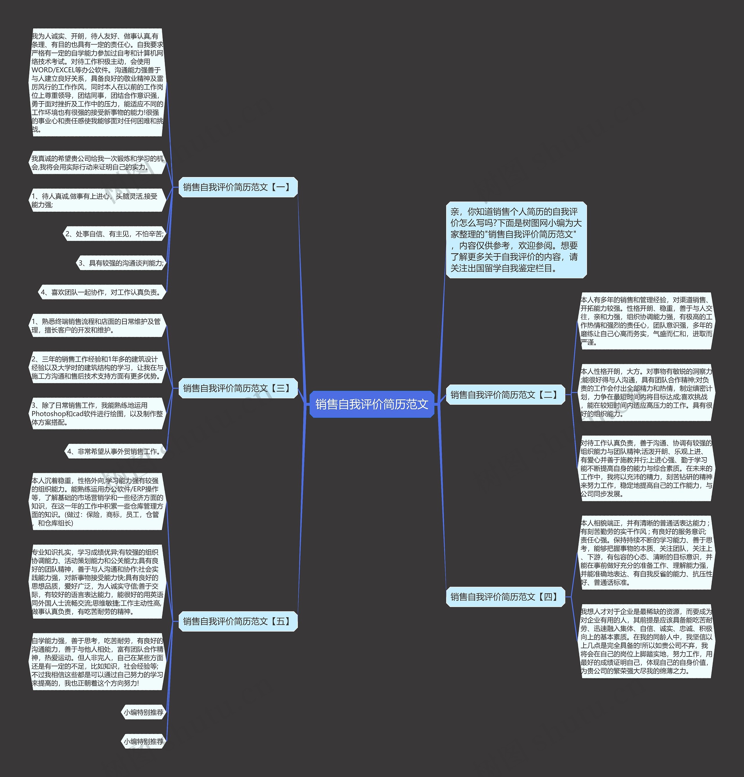 销售自我评价简历范文思维导图
