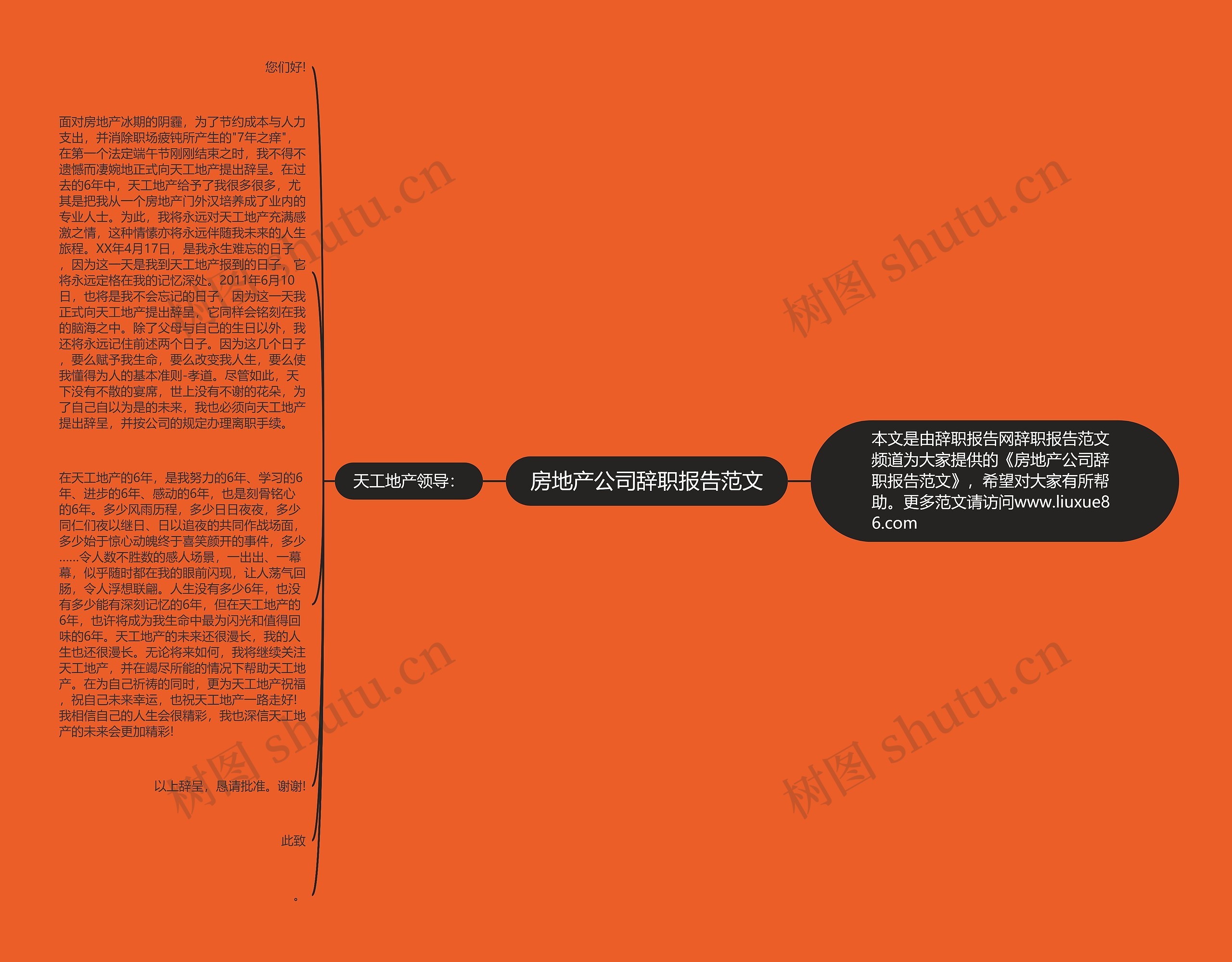 房地产公司辞职报告范文思维导图