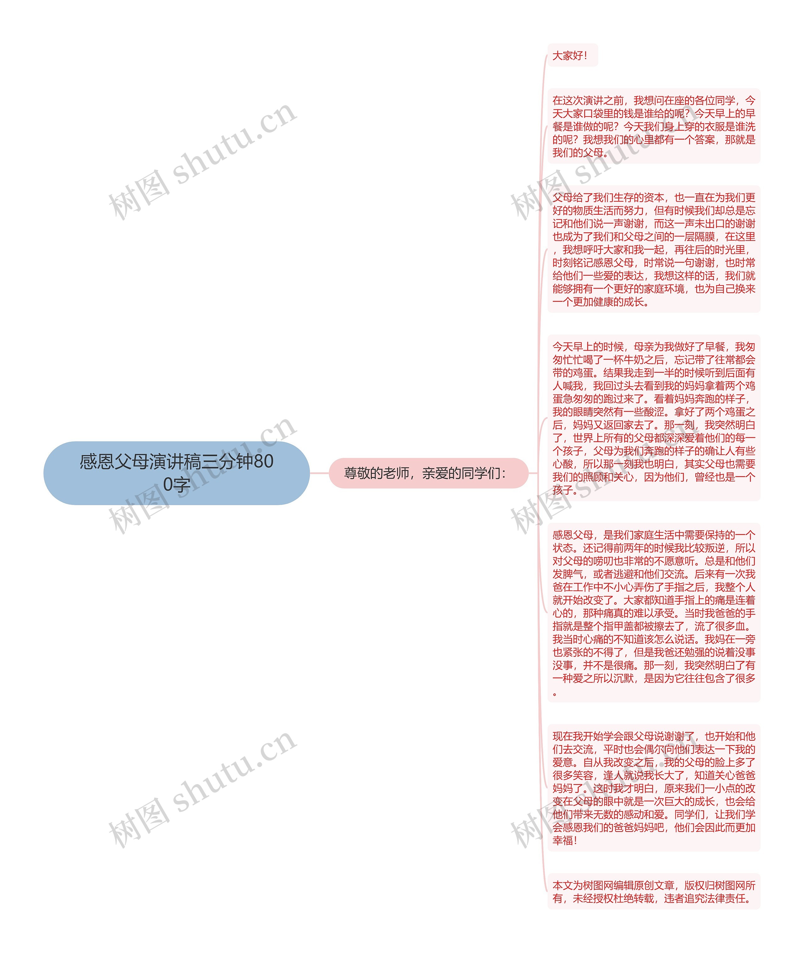 感恩父母演讲稿三分钟800字