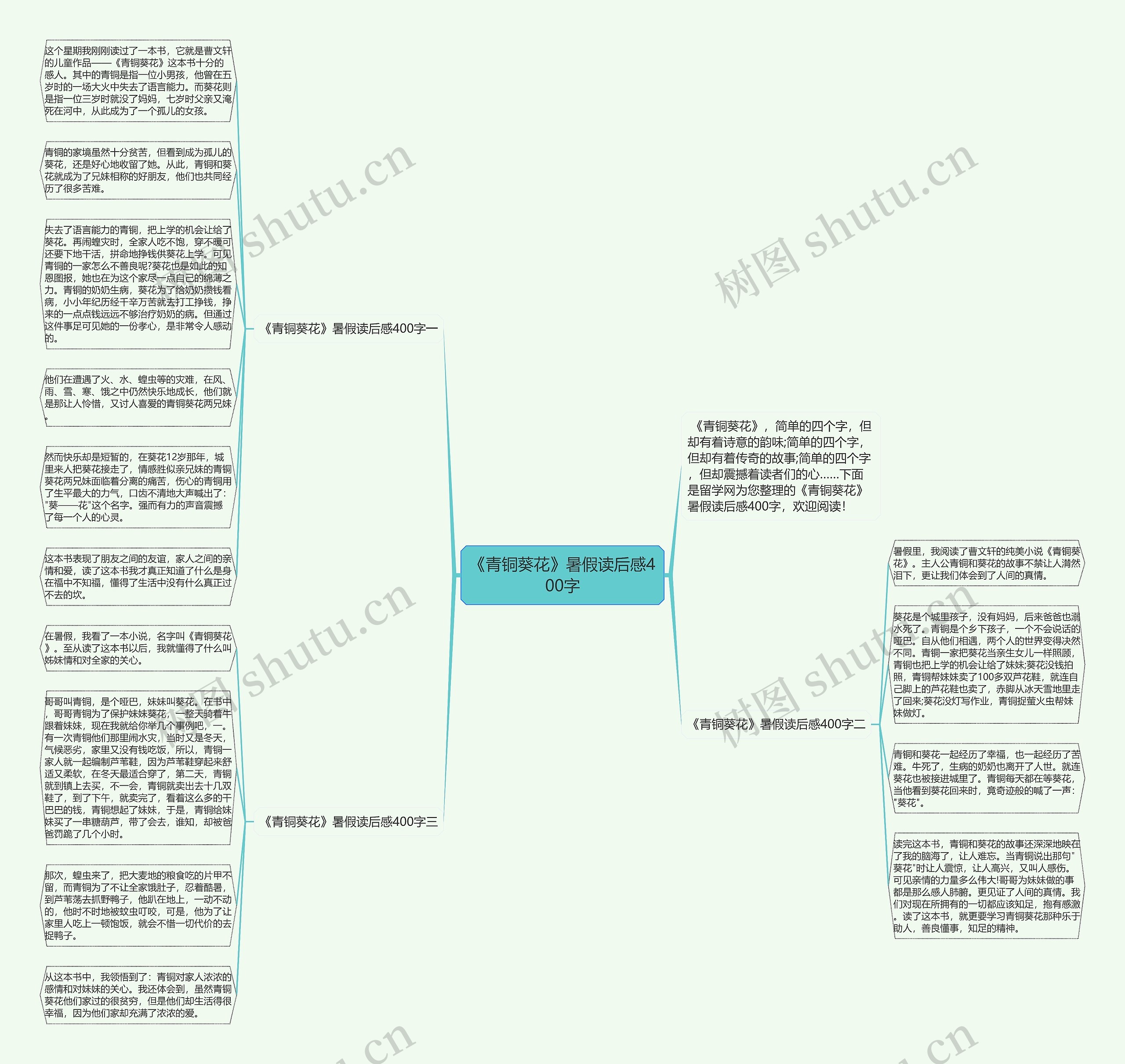 《青铜葵花》暑假读后感400字思维导图