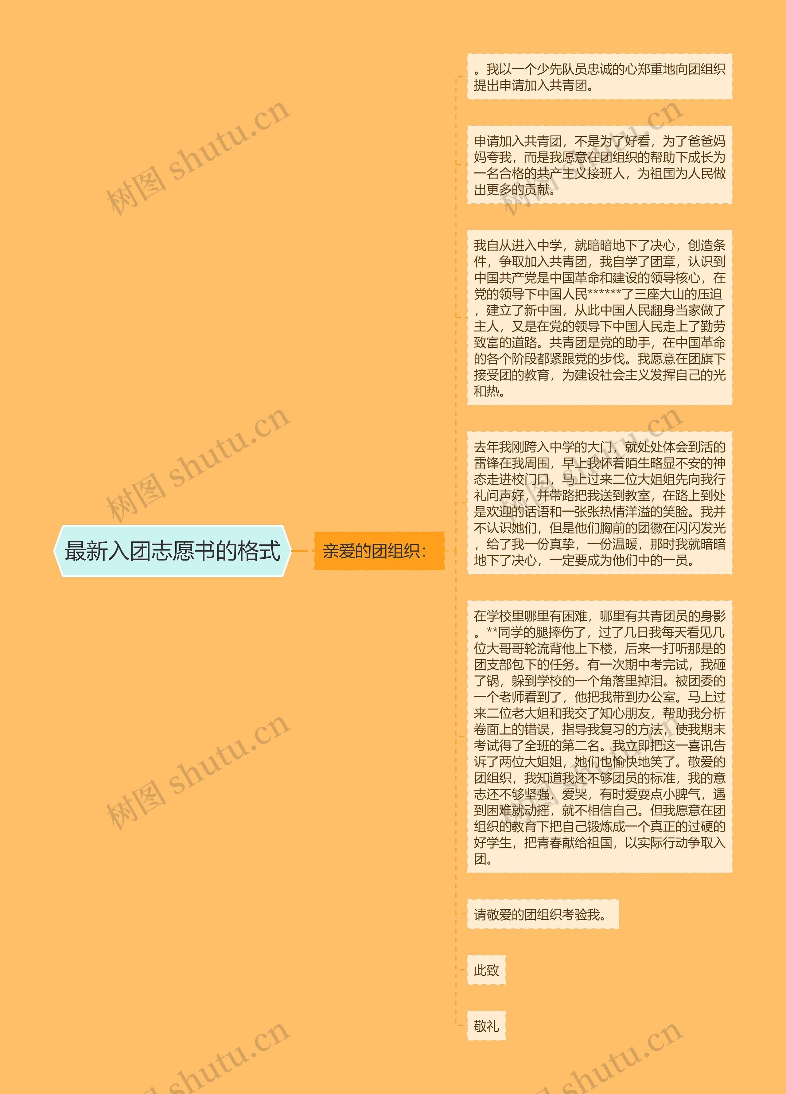 最新入团志愿书的格式思维导图