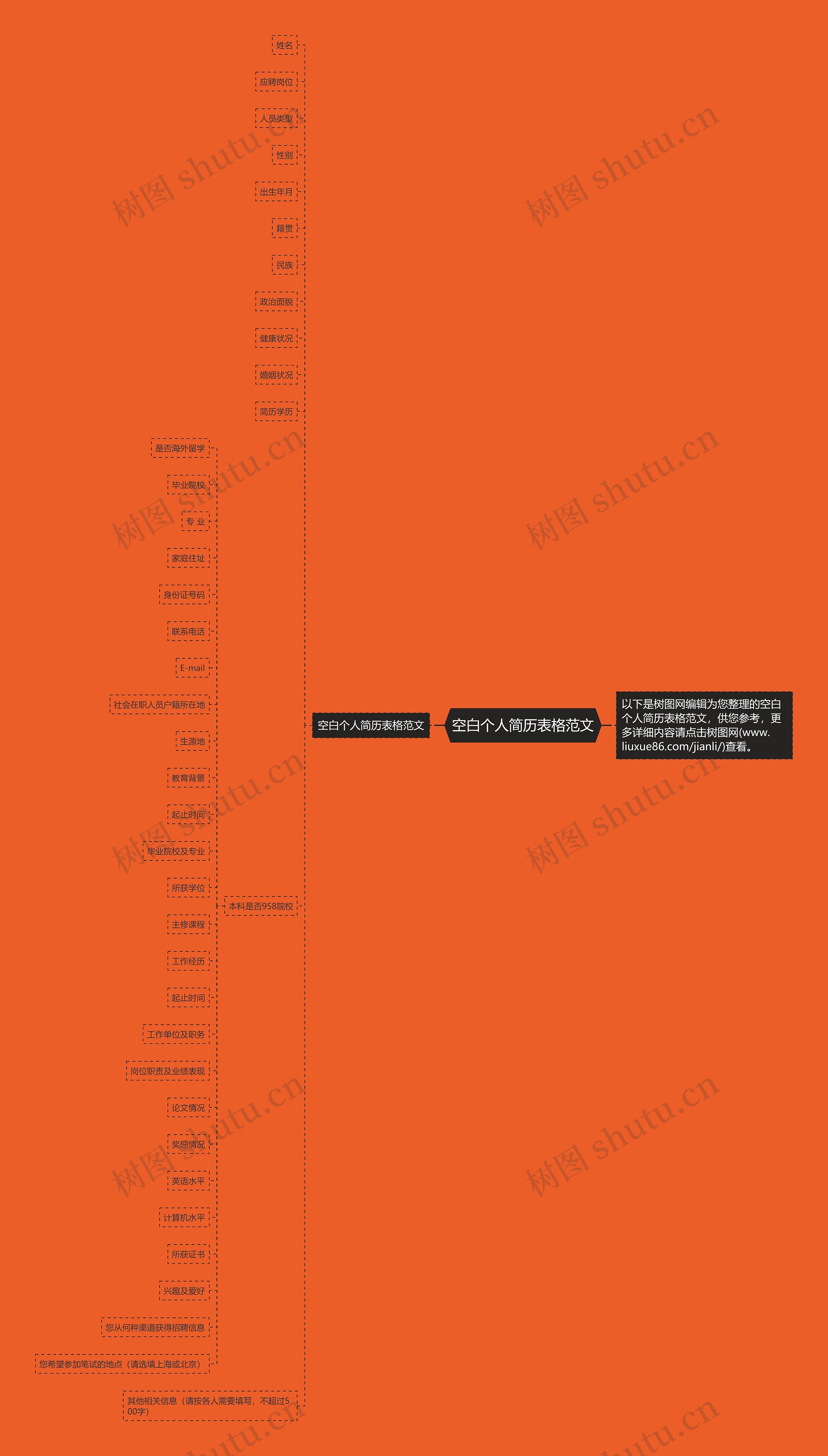 空白个人简历表格范文思维导图