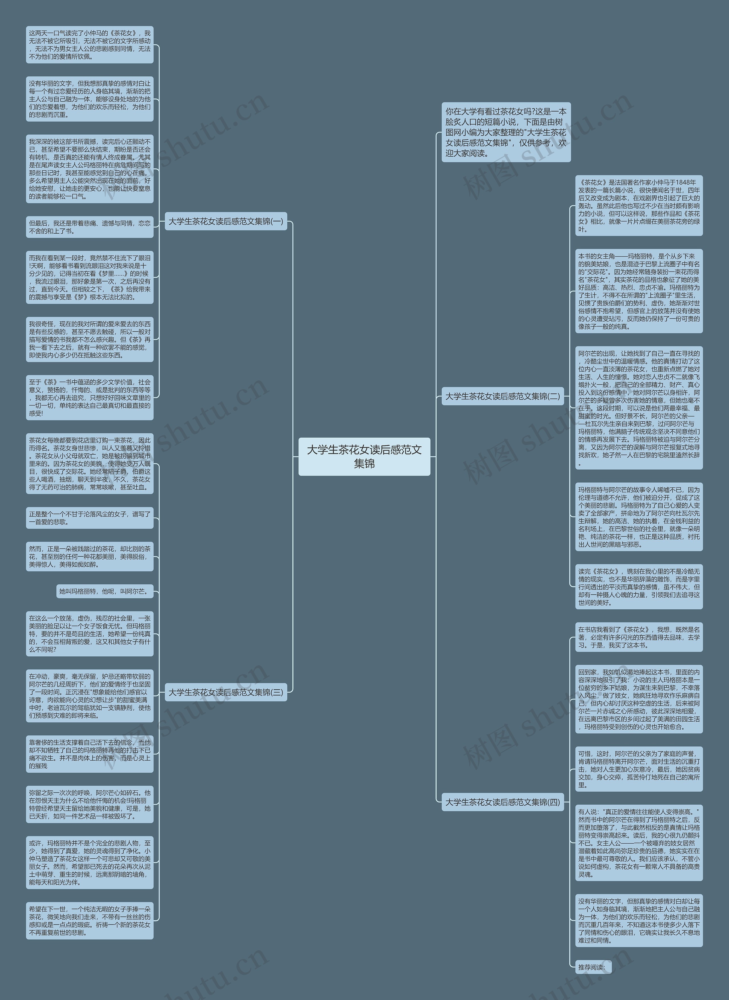 大学生茶花女读后感范文集锦思维导图
