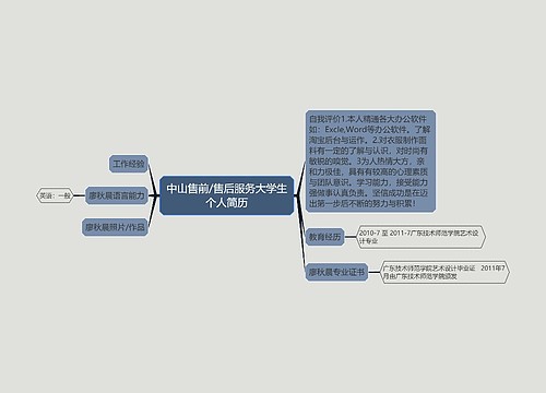 中山售前/售后服务大学生个人简历