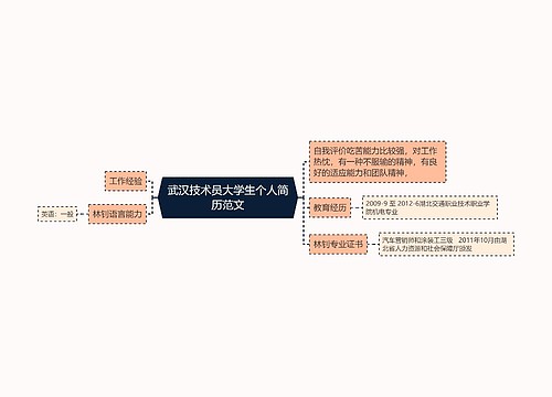 武汉技术员大学生个人简历范文