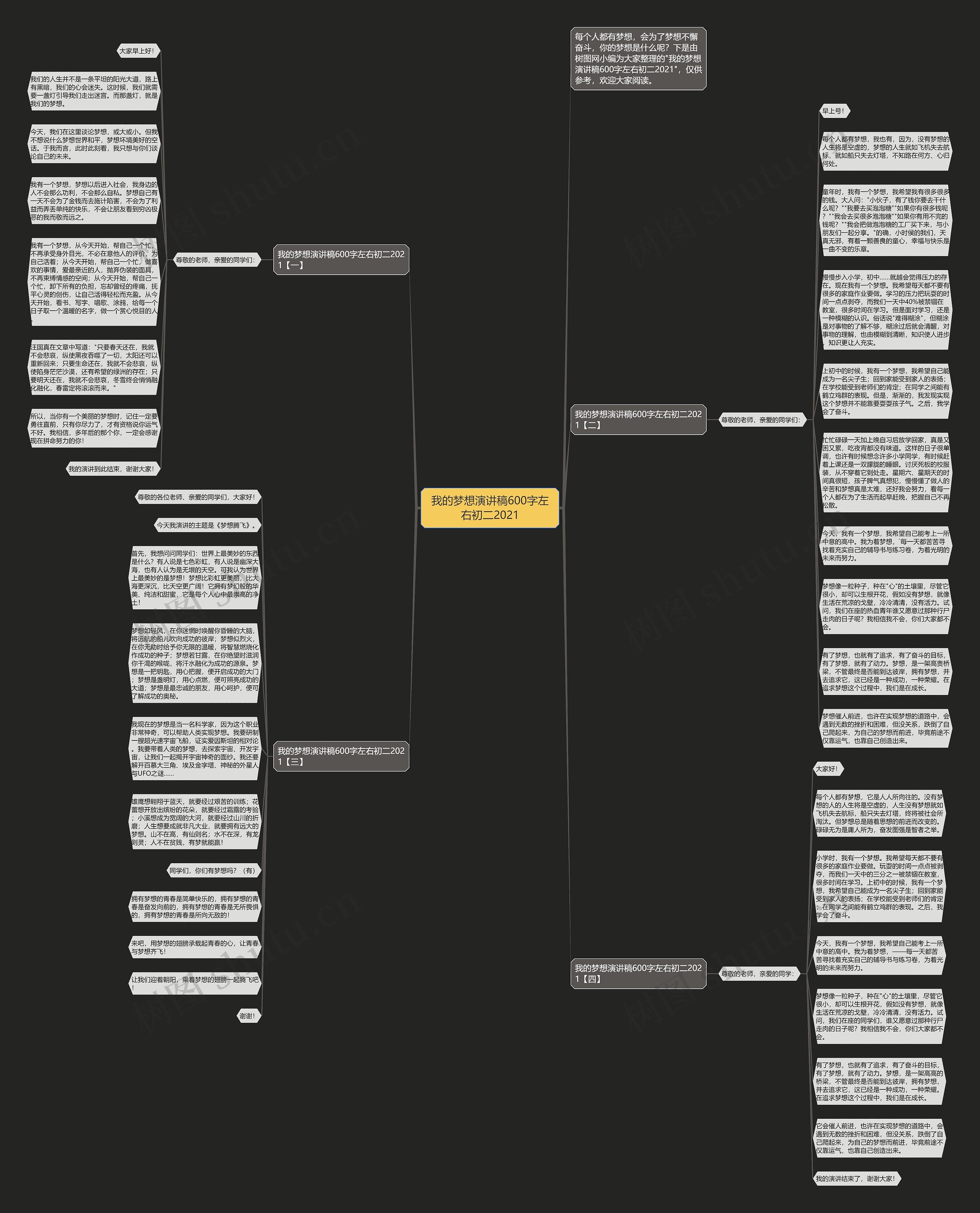 我的梦想演讲稿600字左右初二2021思维导图