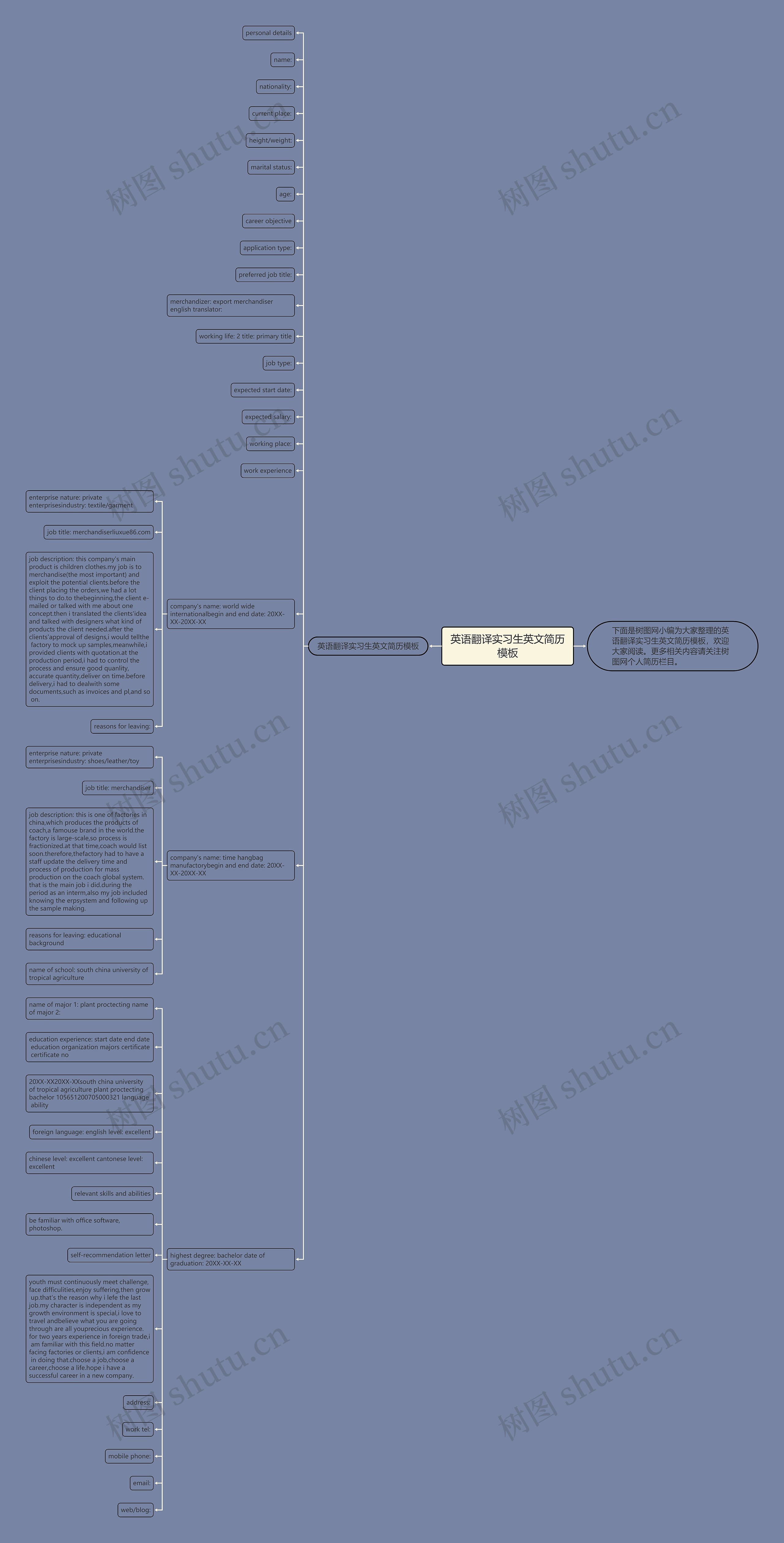 英语翻译实习生英文简历思维导图