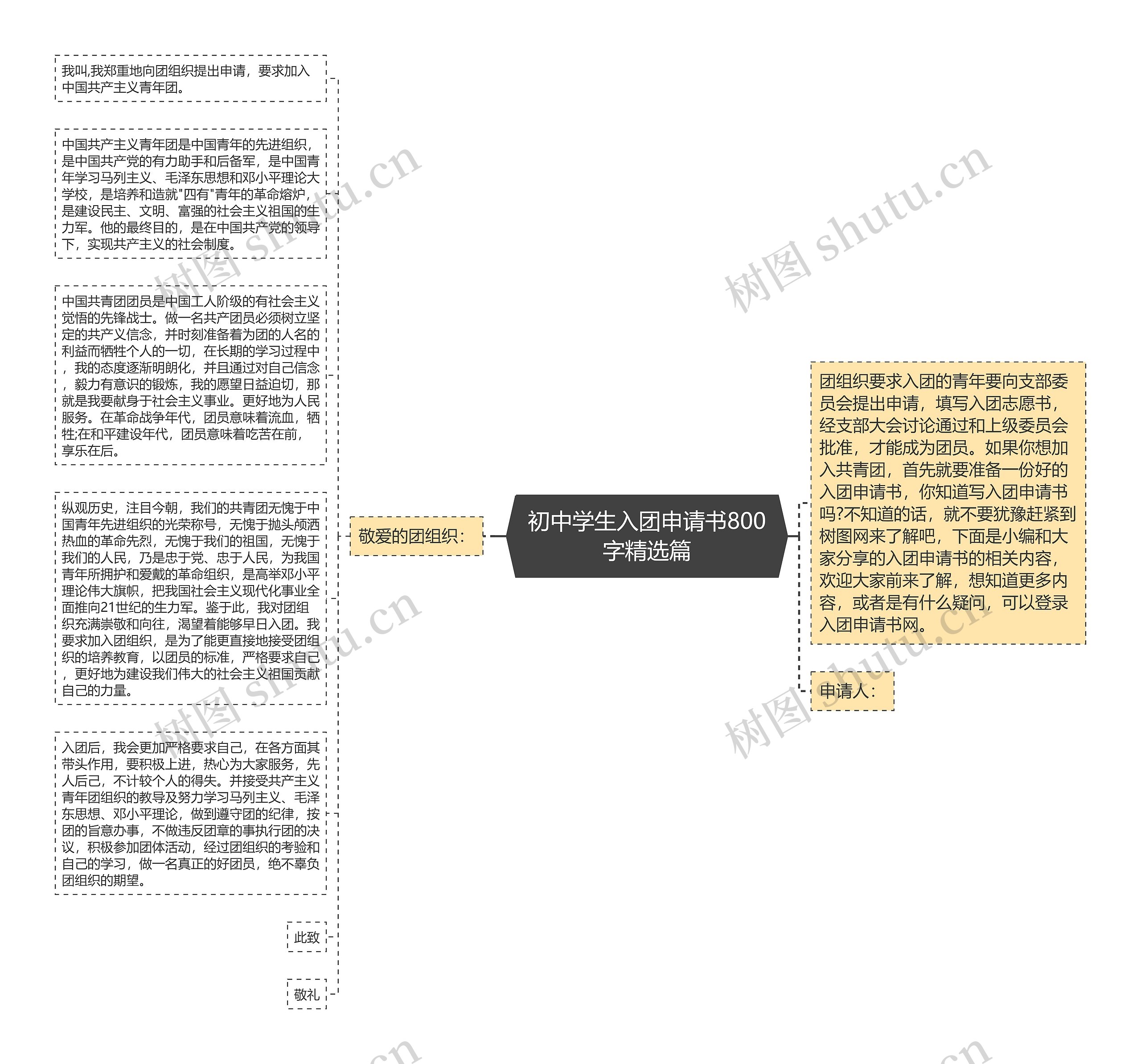 初中学生入团申请书800字精选篇