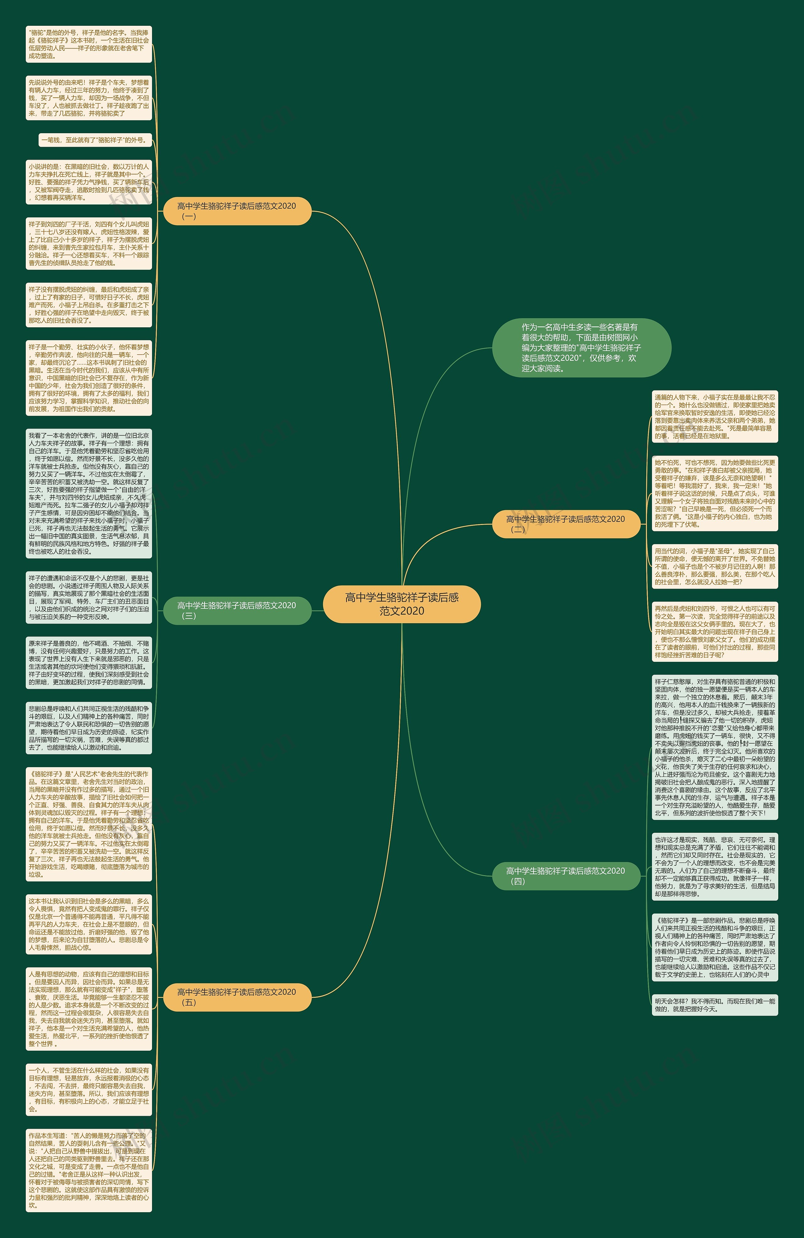 高中学生骆驼祥子读后感范文2020思维导图