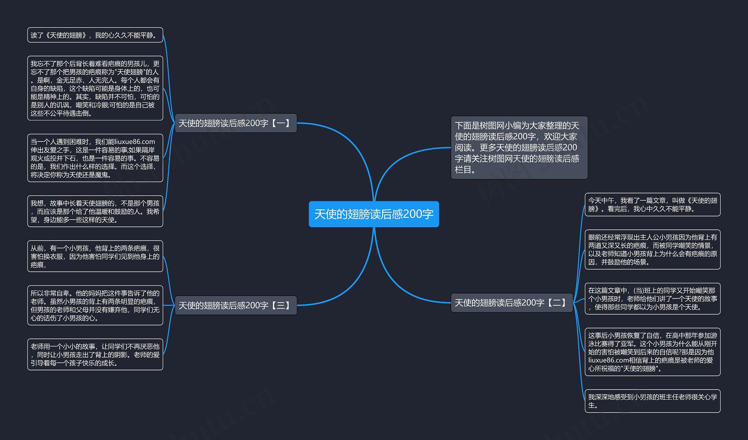 天使的翅膀读后感200字思维导图
