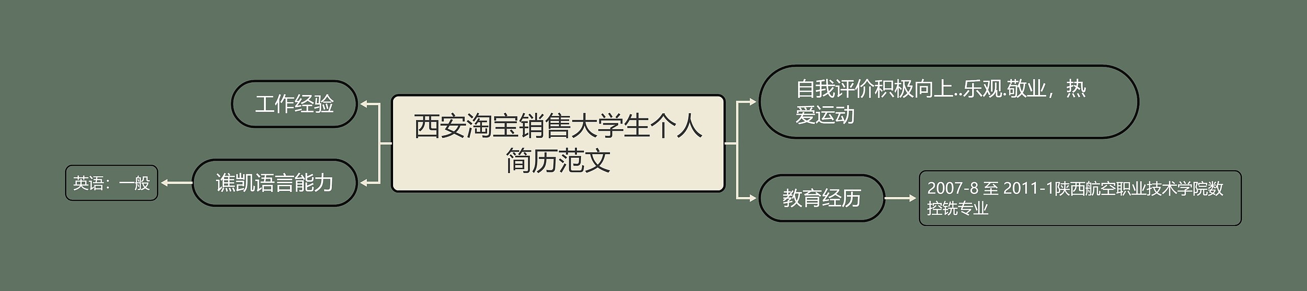 西安淘宝销售大学生个人简历范文