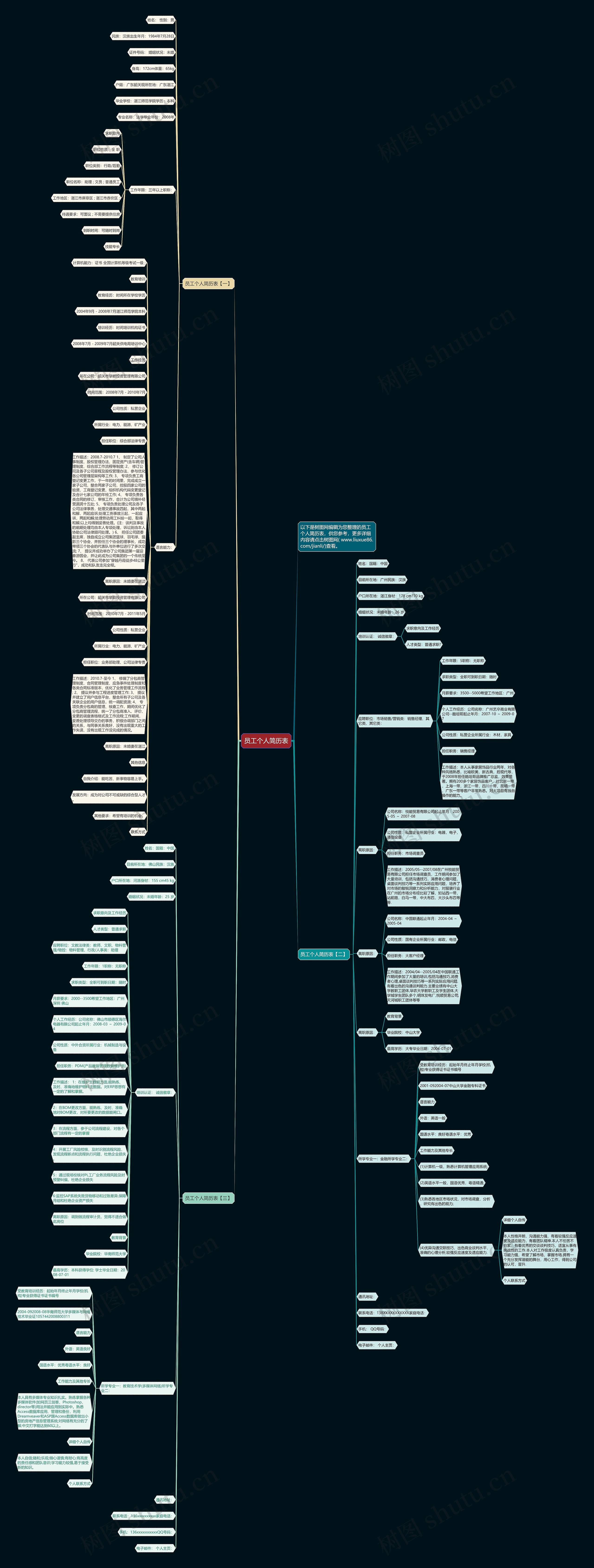 员工个人简历表思维导图
